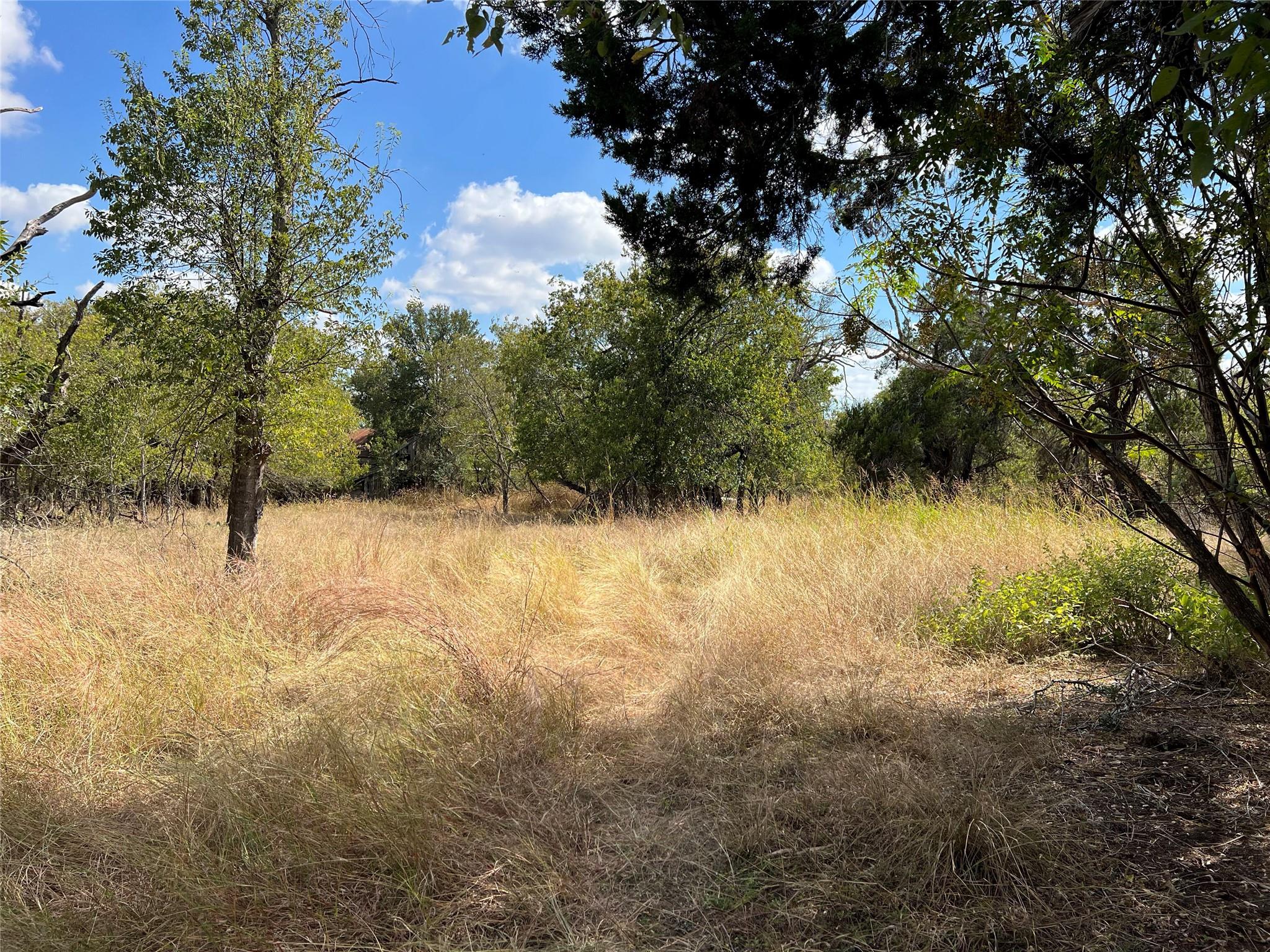 TBD County Road 202, Liberty Hill, TX 78642