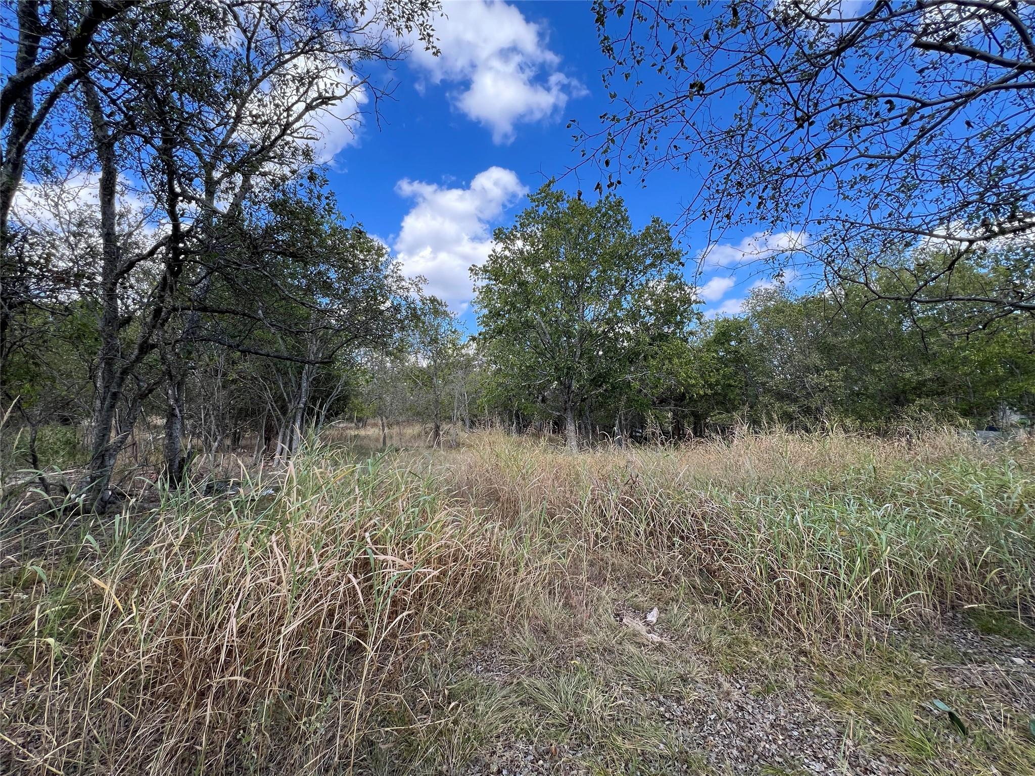 TBD County Road 202, Liberty Hill, TX 78642