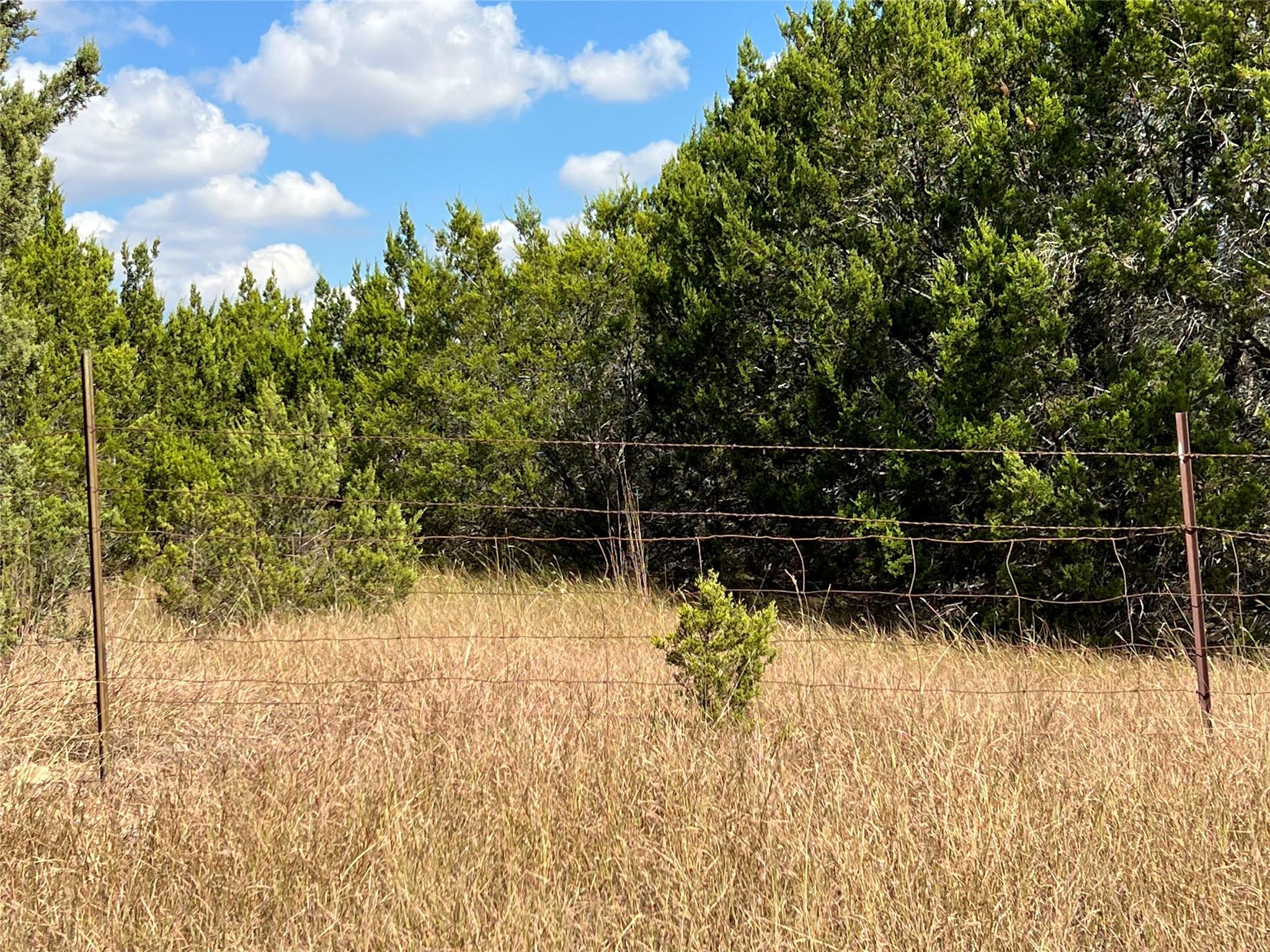 TBD County Road 202, Liberty Hill, TX 78642