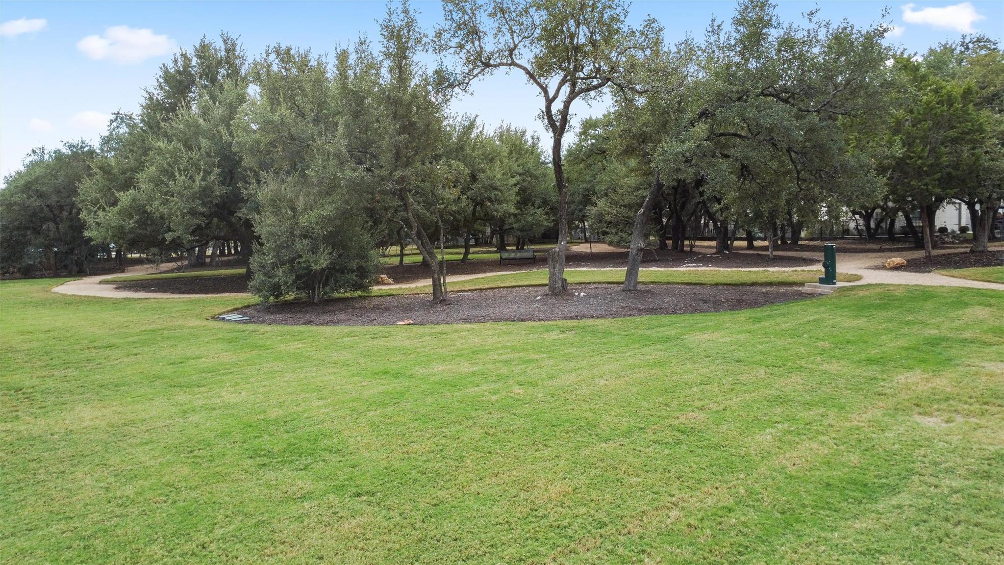 1122 Silver Dollar Trl, Georgetown, TX 78628