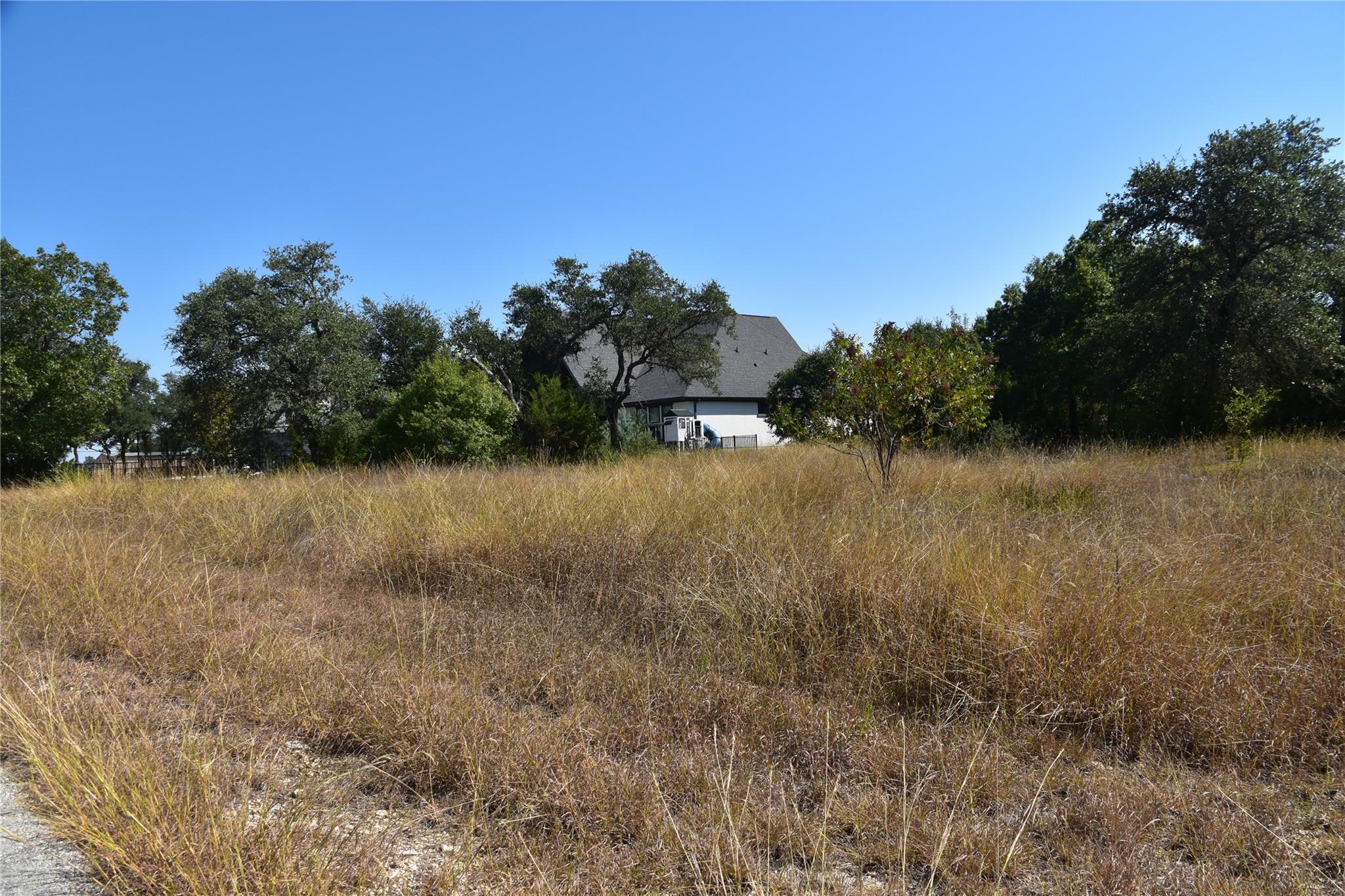 3317 Whitt Park Path, Leander, TX 78641