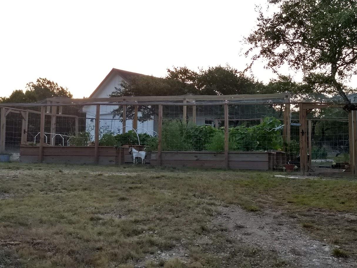 1440 Deerfield Rd, Dripping Springs, TX 78620