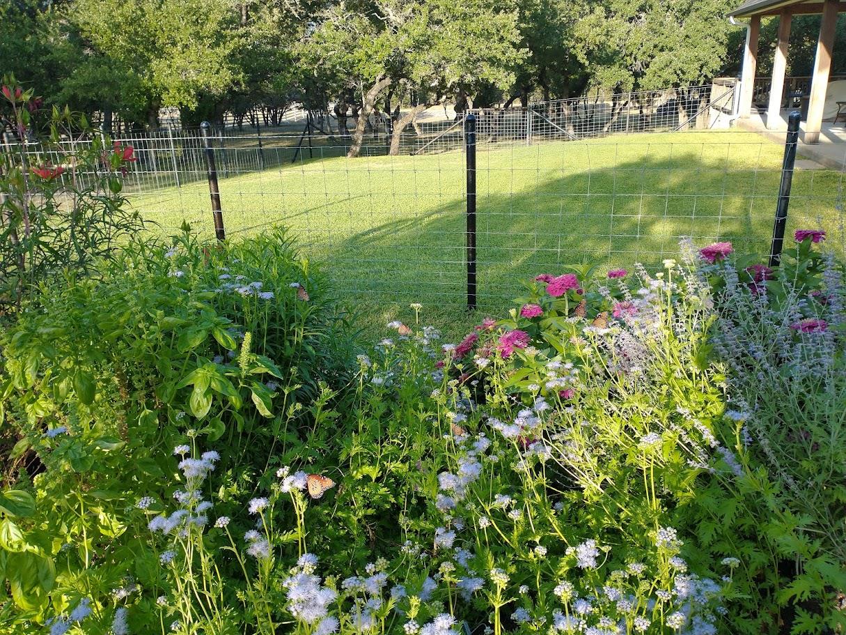 1440 Deerfield Rd, Dripping Springs, TX 78620