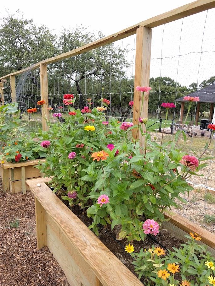 1440 Deerfield Rd, Dripping Springs, TX 78620