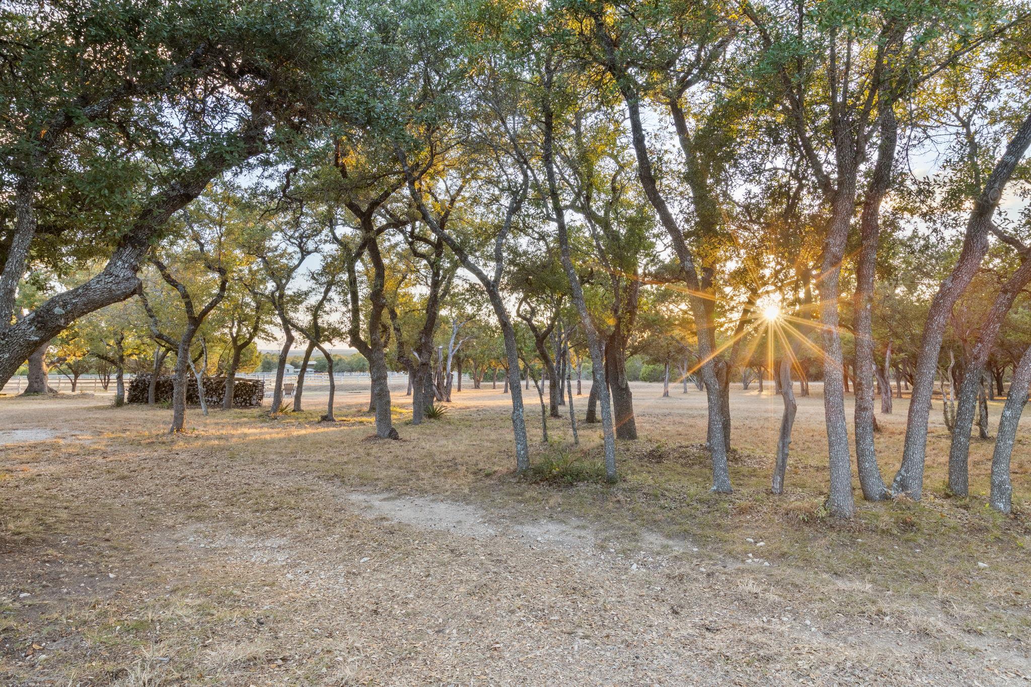 1440 Deerfield Rd, Dripping Springs, TX 78620