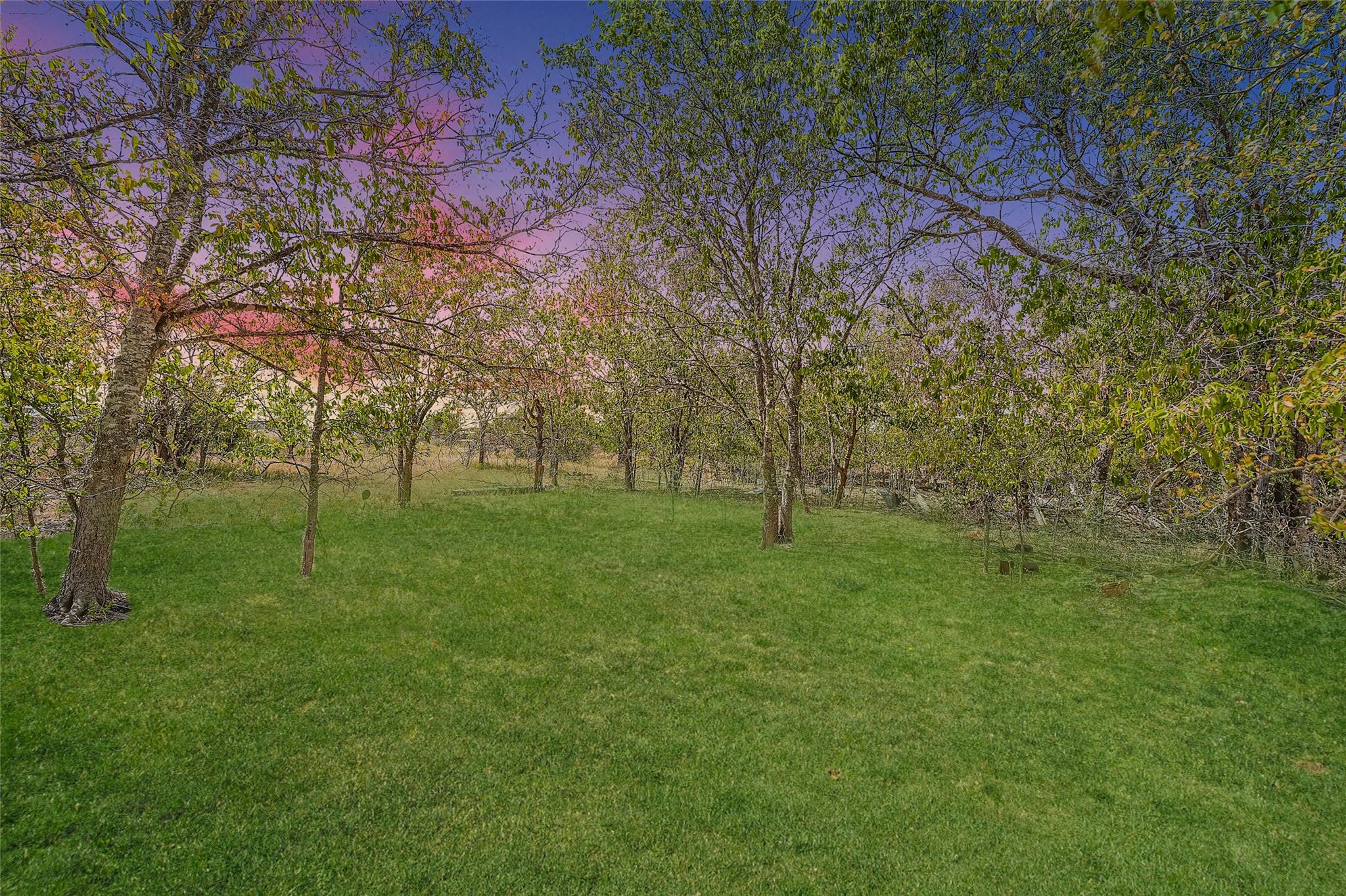 350 Williamson Rd, Kyle, TX 78640