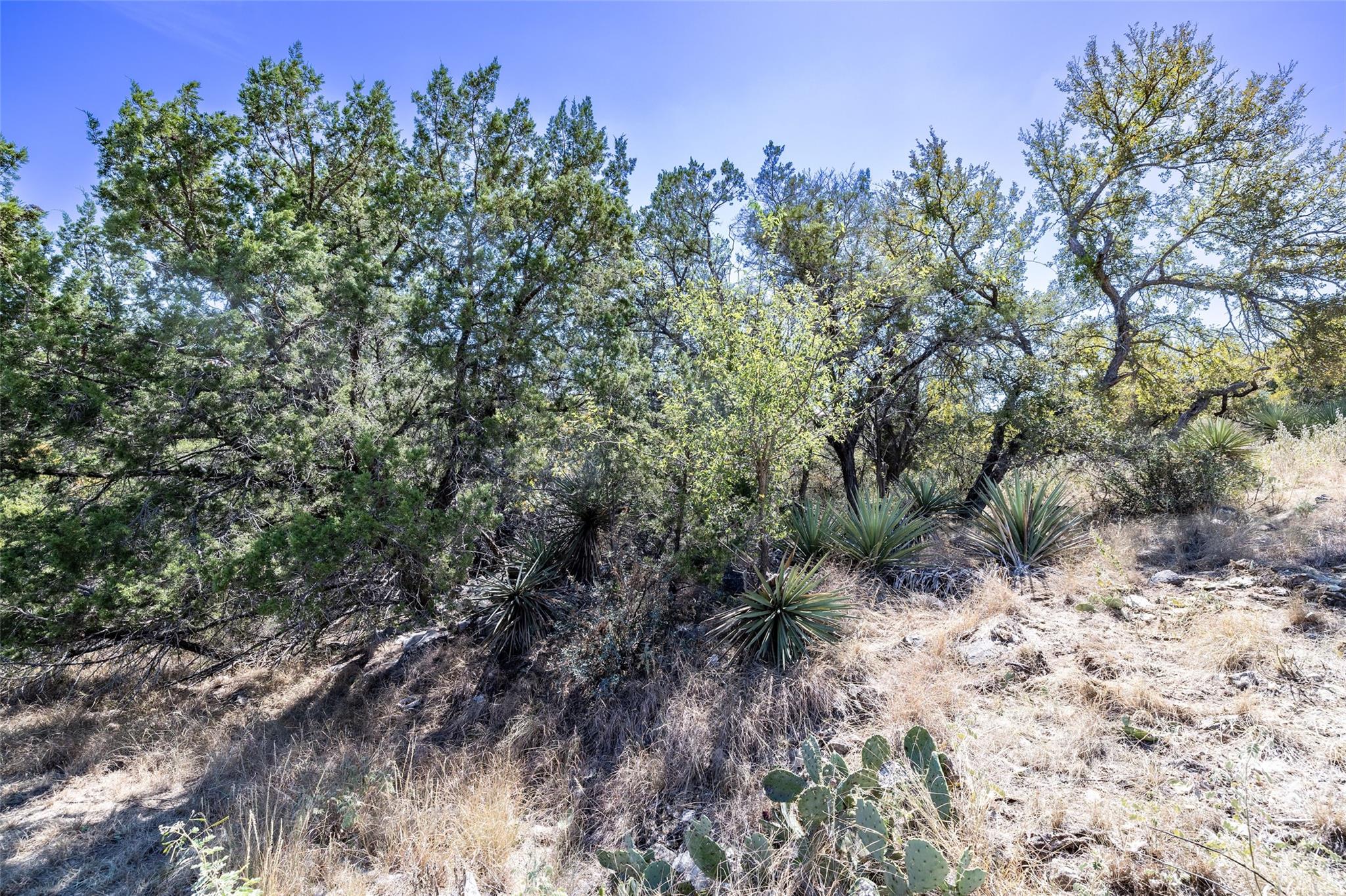 705 Fallow, Horseshoe Bay, TX 78657