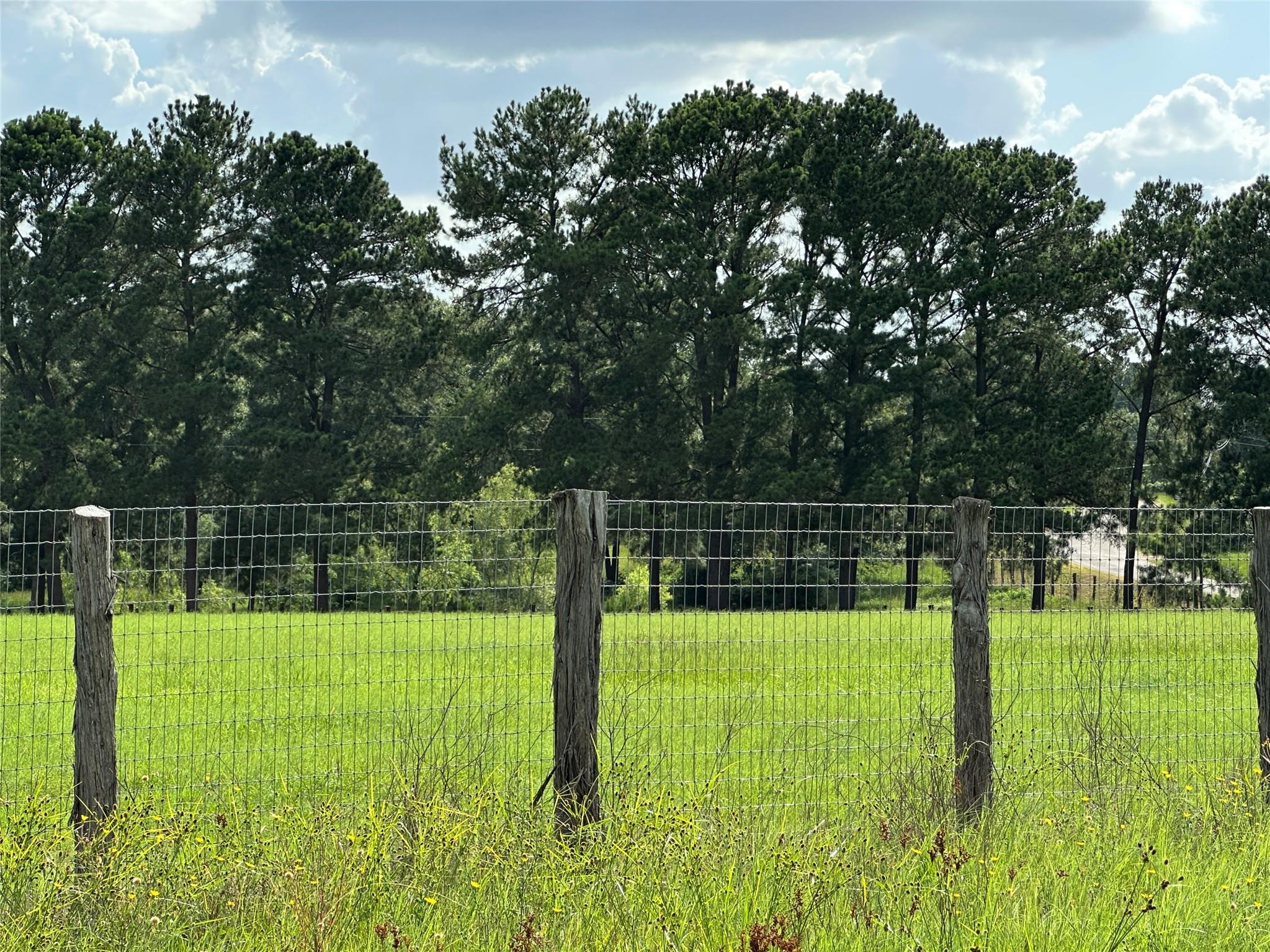 TBD Homestead Cir, Paige, TX 78659