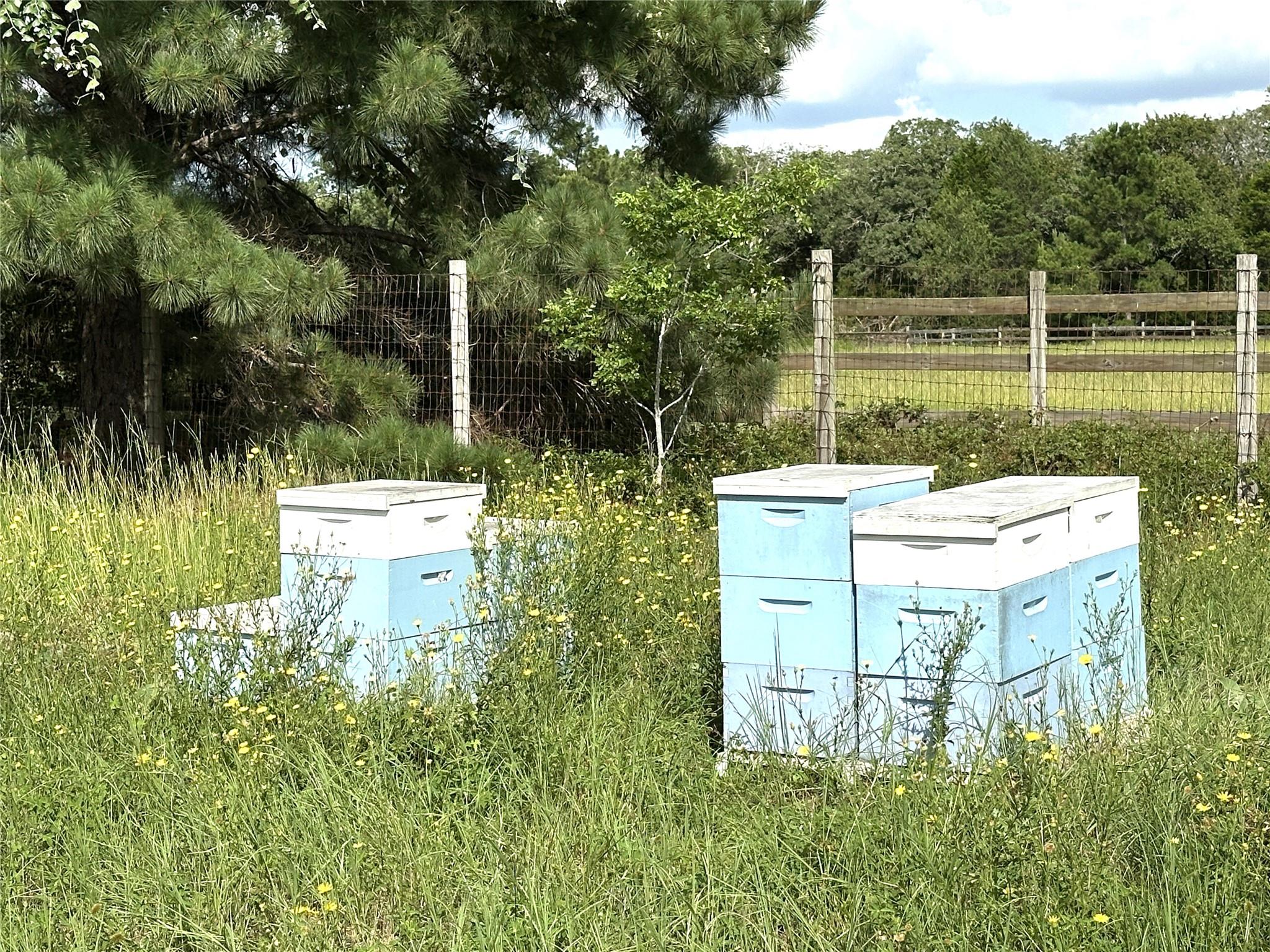 TBD Homestead Cir, Paige, TX 78659