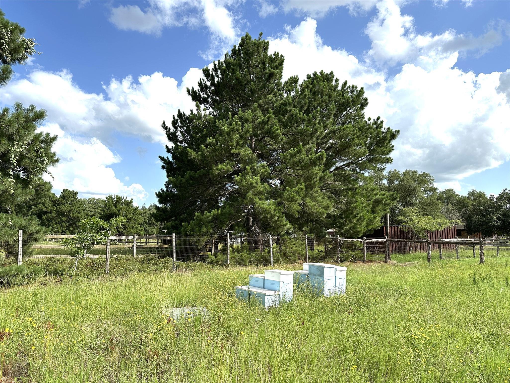 TBD Homestead Cir, Paige, TX 78659
