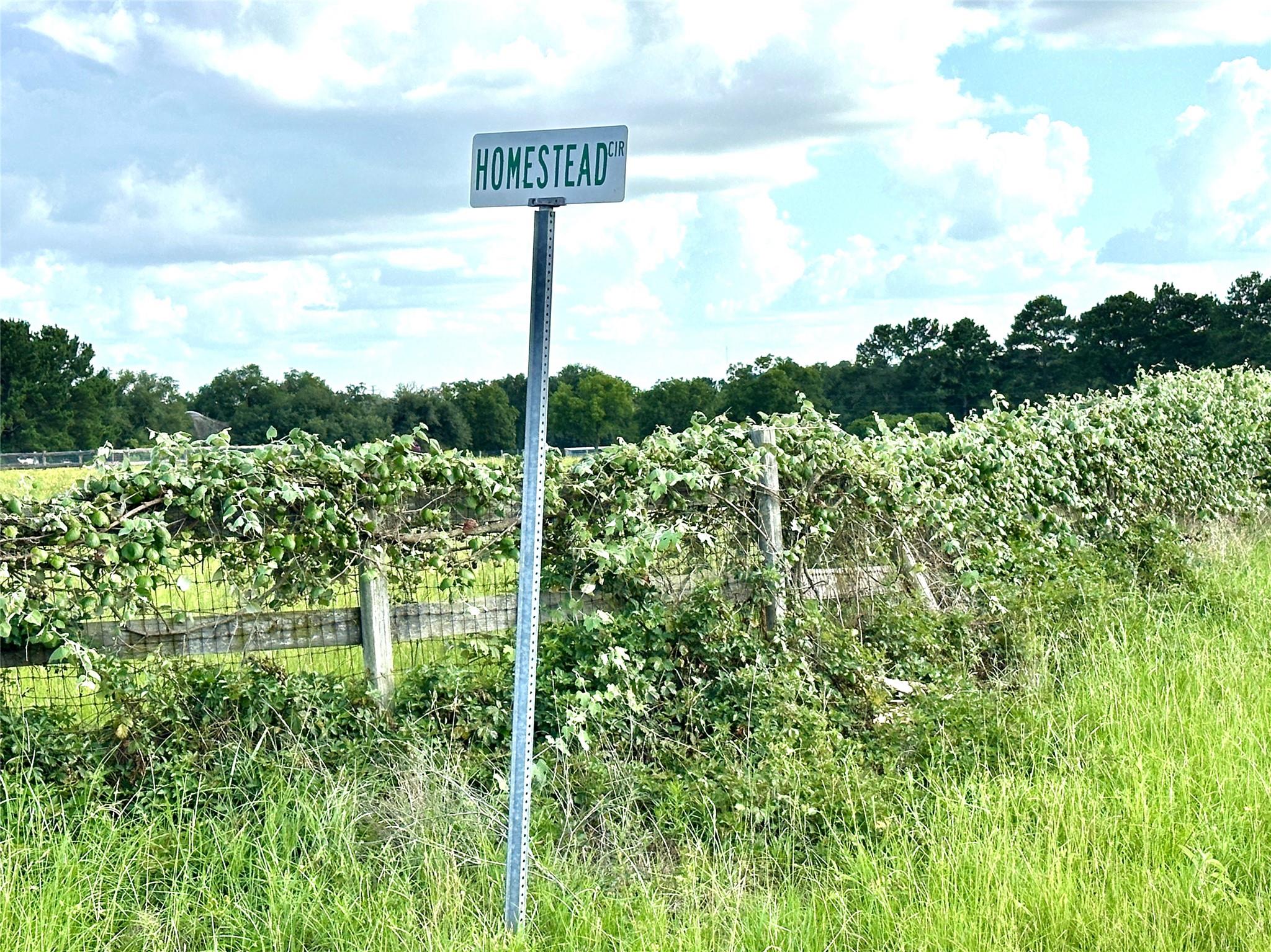 TBD Homestead Cir, Paige, TX 78659