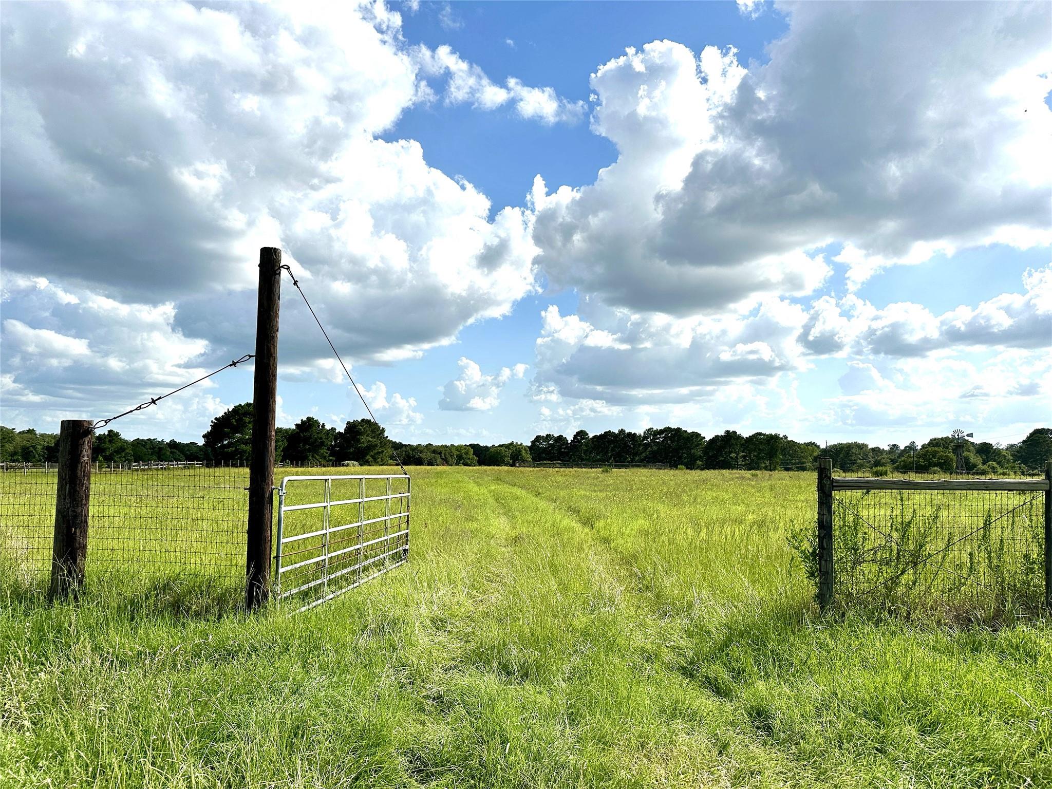 TBD Homestead Cir, Paige, TX 78659