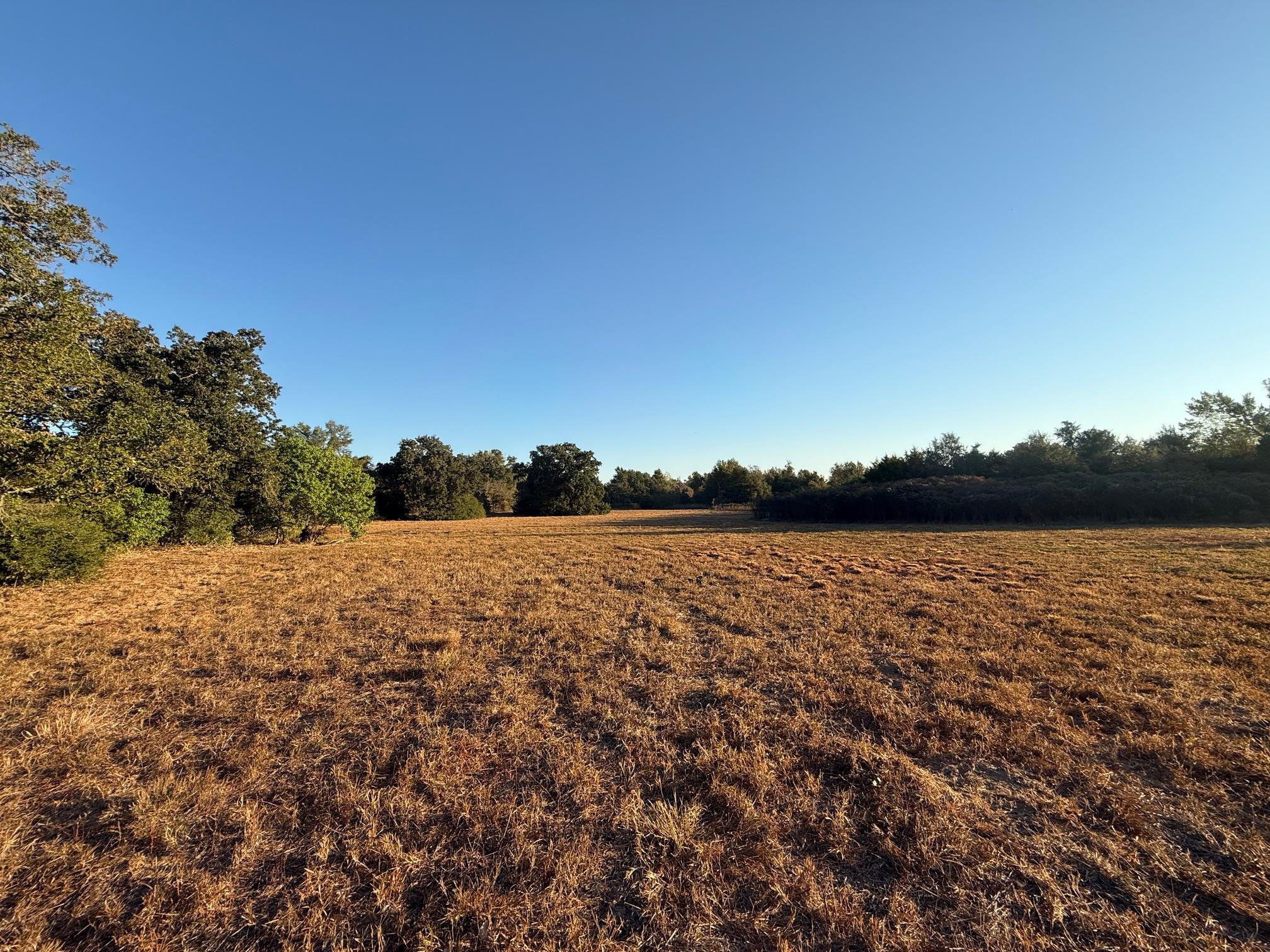 503 County Road 350, Gause, TX 77857