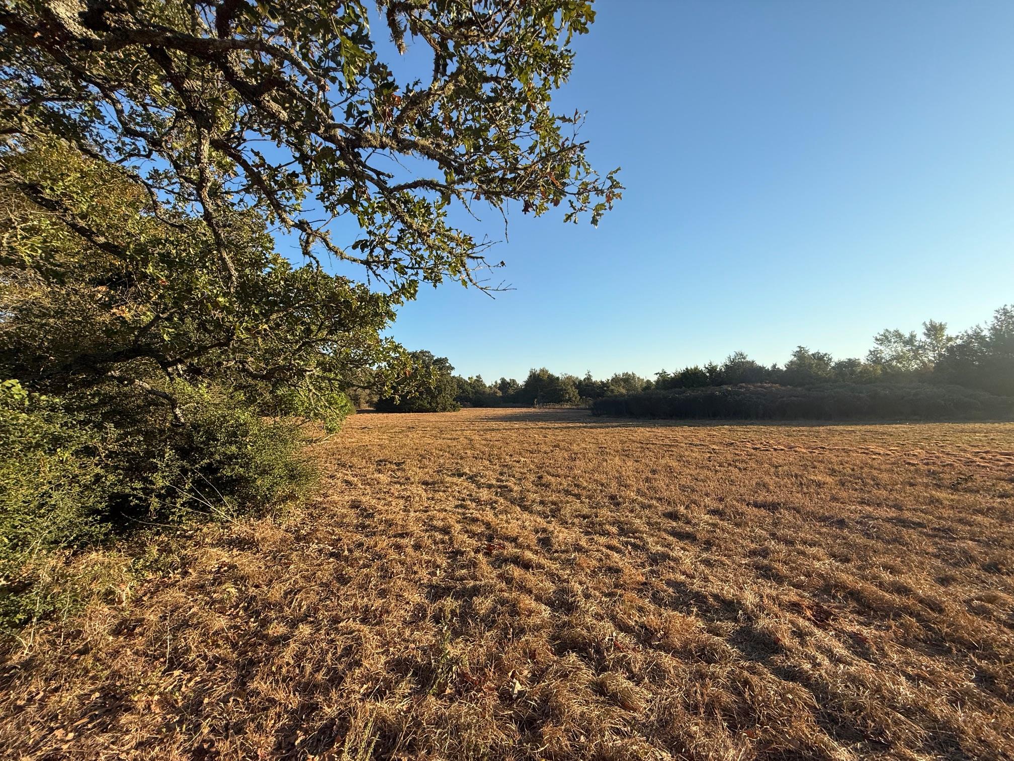 503 County Road 350, Gause, TX 77857