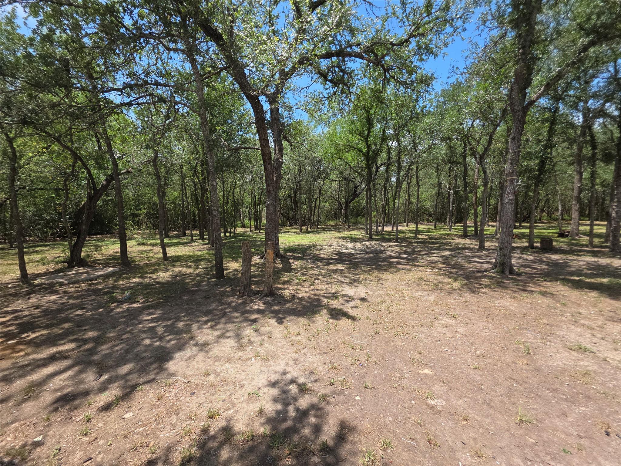 184 Oak Forest Ct, Cedar Creek, TX 78612