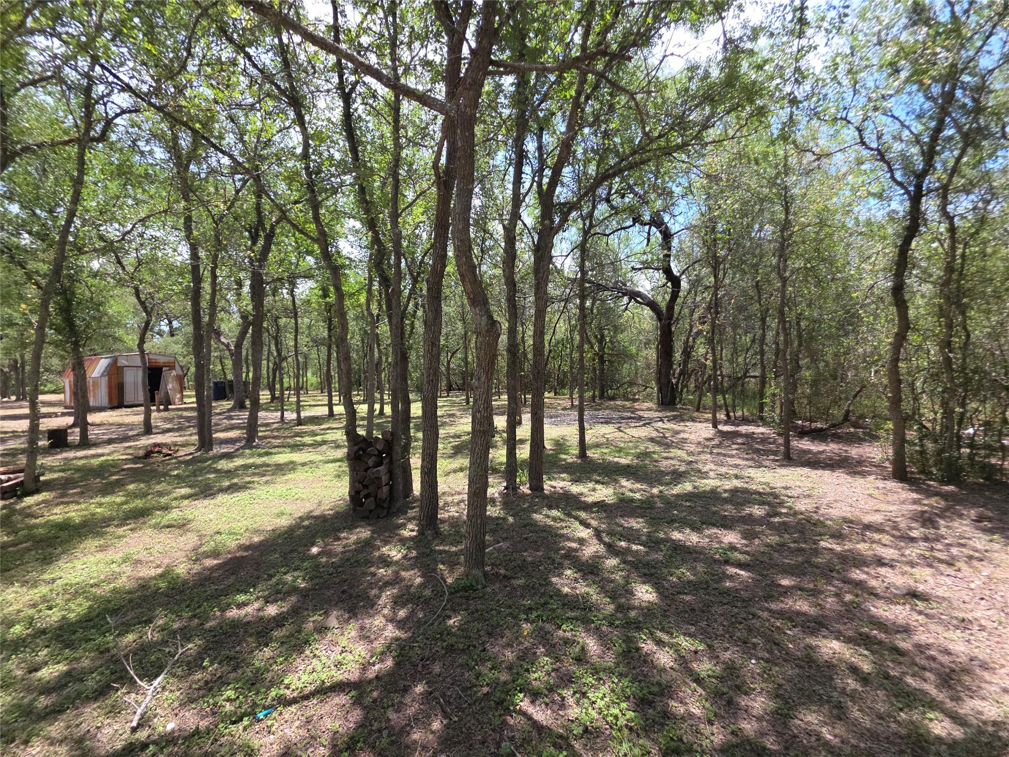 184 Oak Forest Ct, Cedar Creek, TX 78612