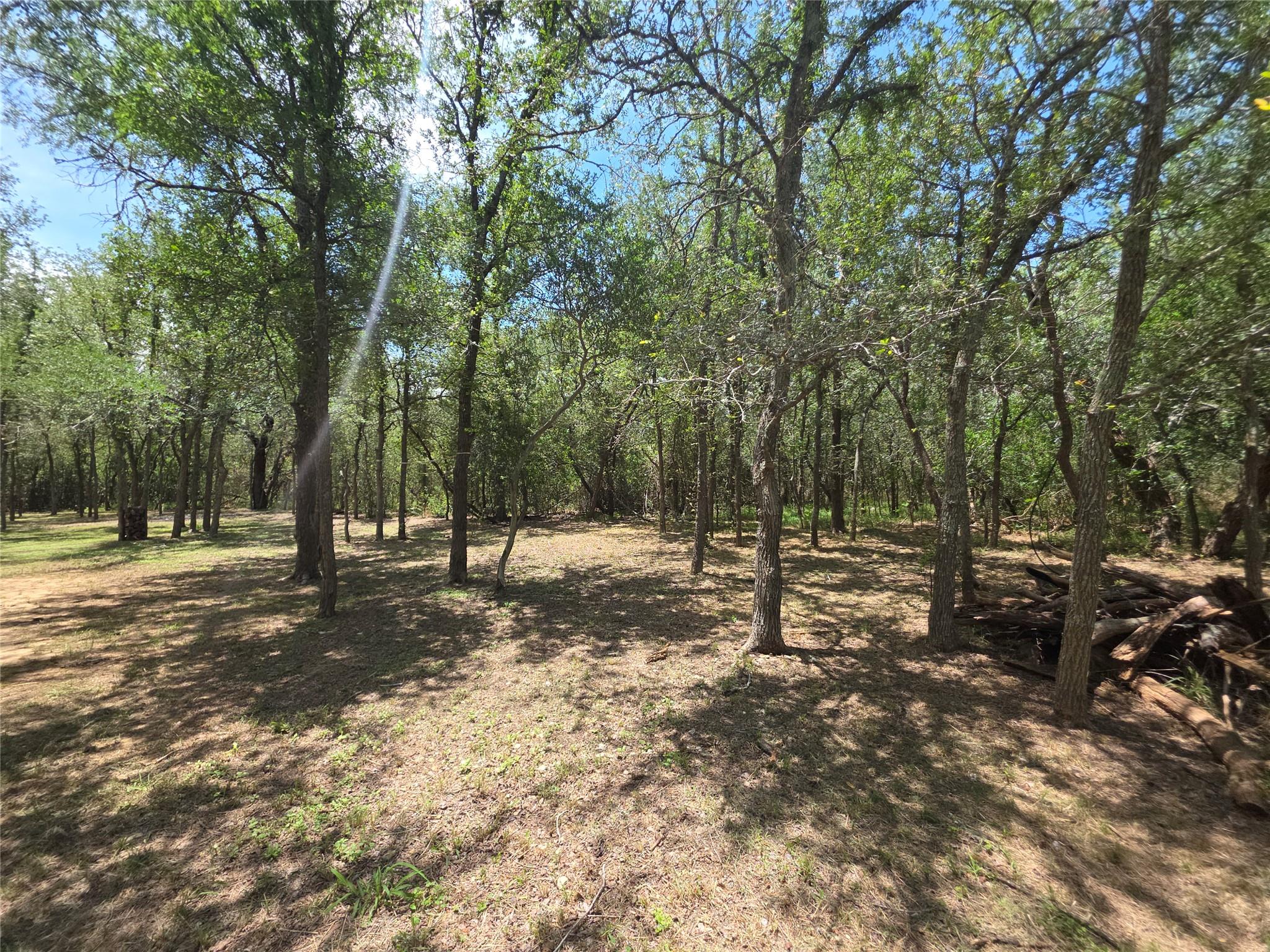 184 Oak Forest Ct, Cedar Creek, TX 78612