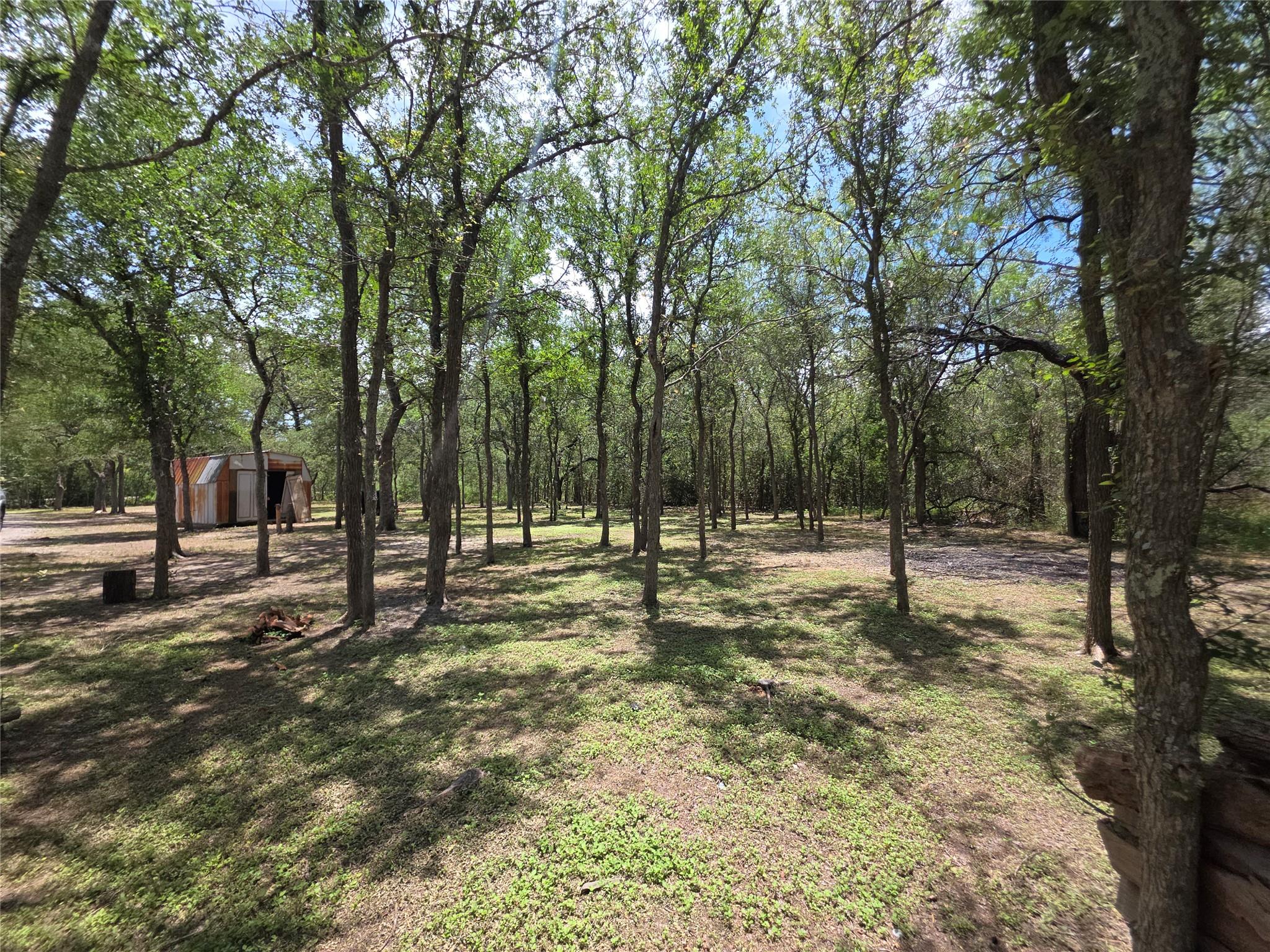 184 Oak Forest Ct, Cedar Creek, TX 78612