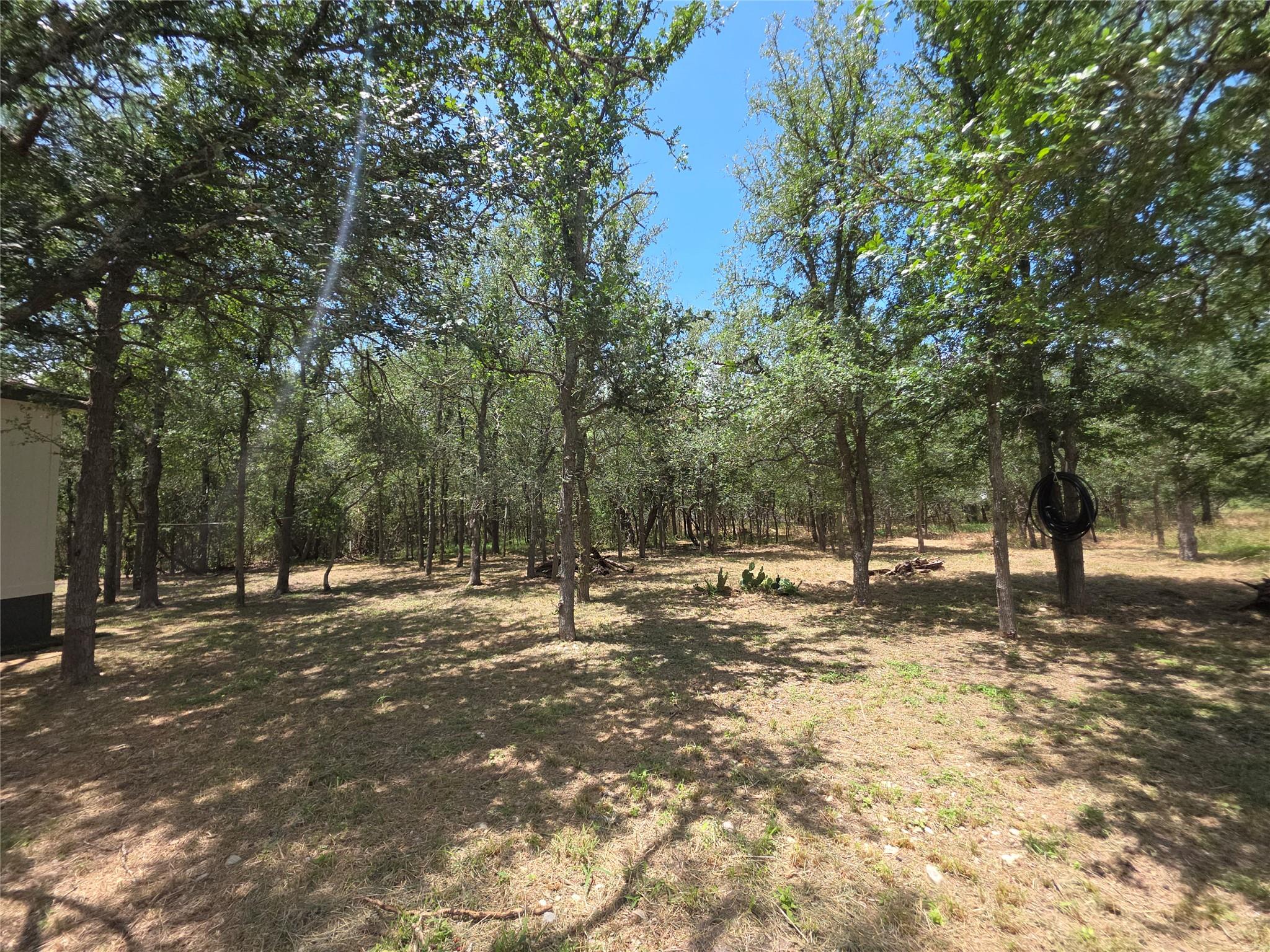 184 Oak Forest Ct, Cedar Creek, TX 78612