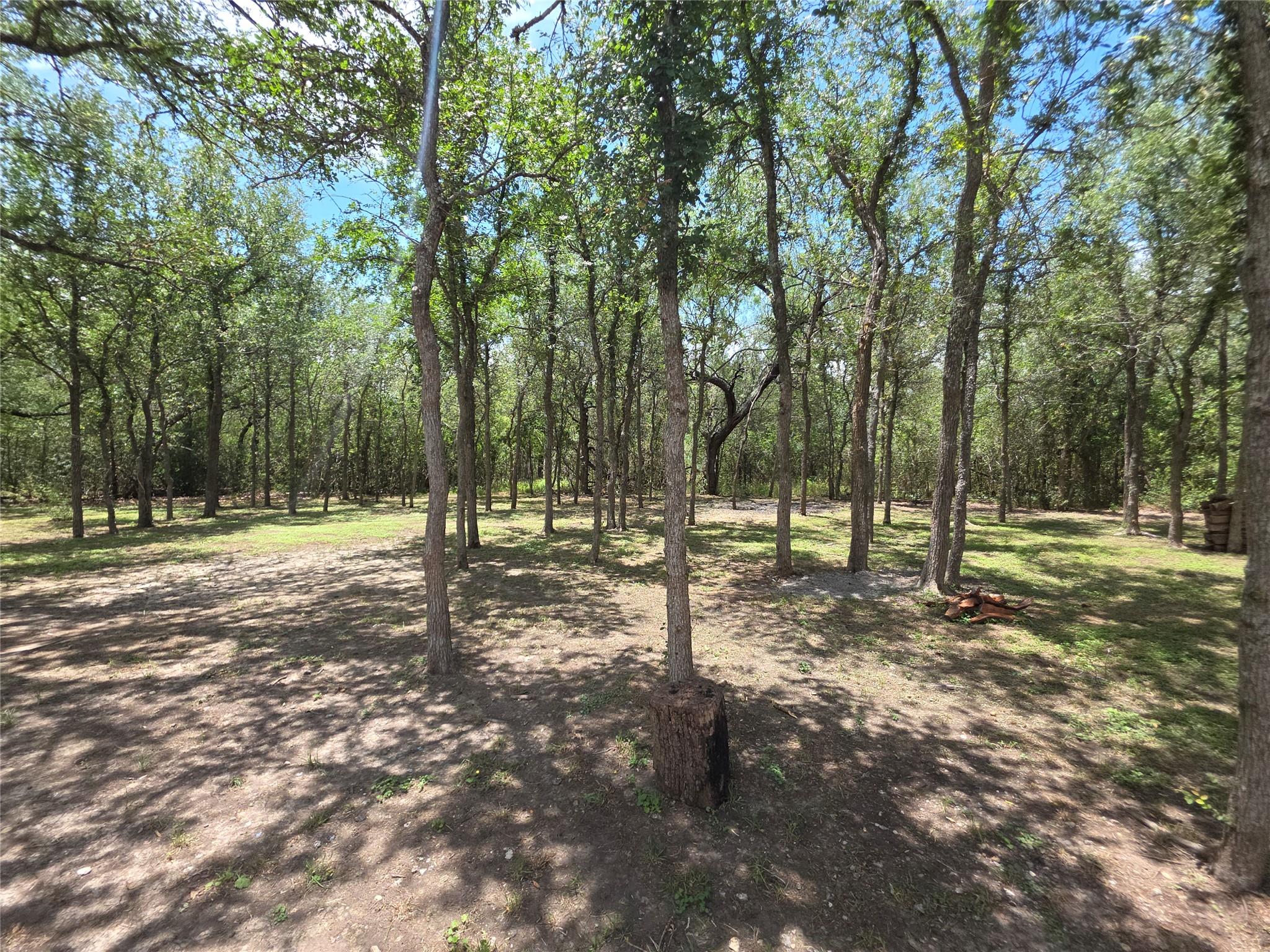 184 Oak Forest Ct, Cedar Creek, TX 78612