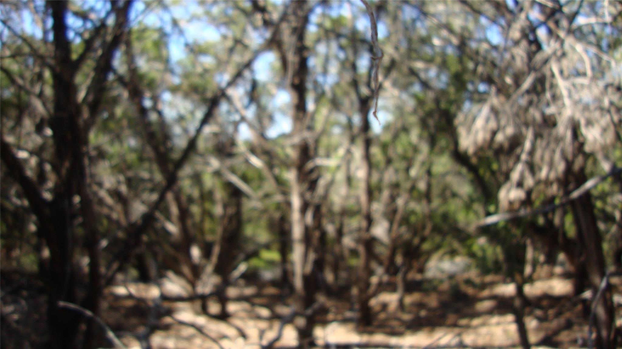 20804 Bonanza St, Lago Vista, TX 78645