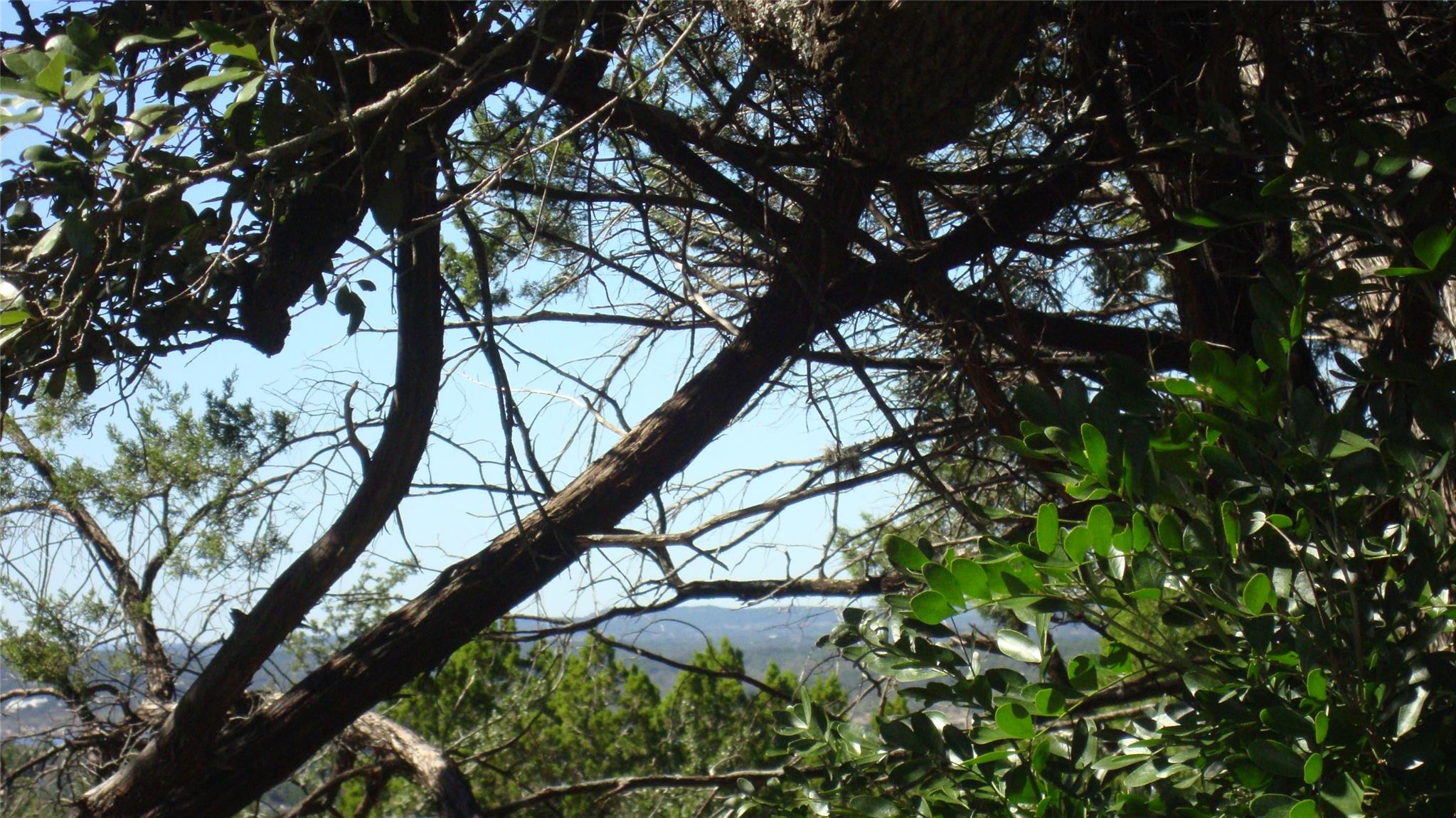 20804 Bonanza St, Lago Vista, TX 78645