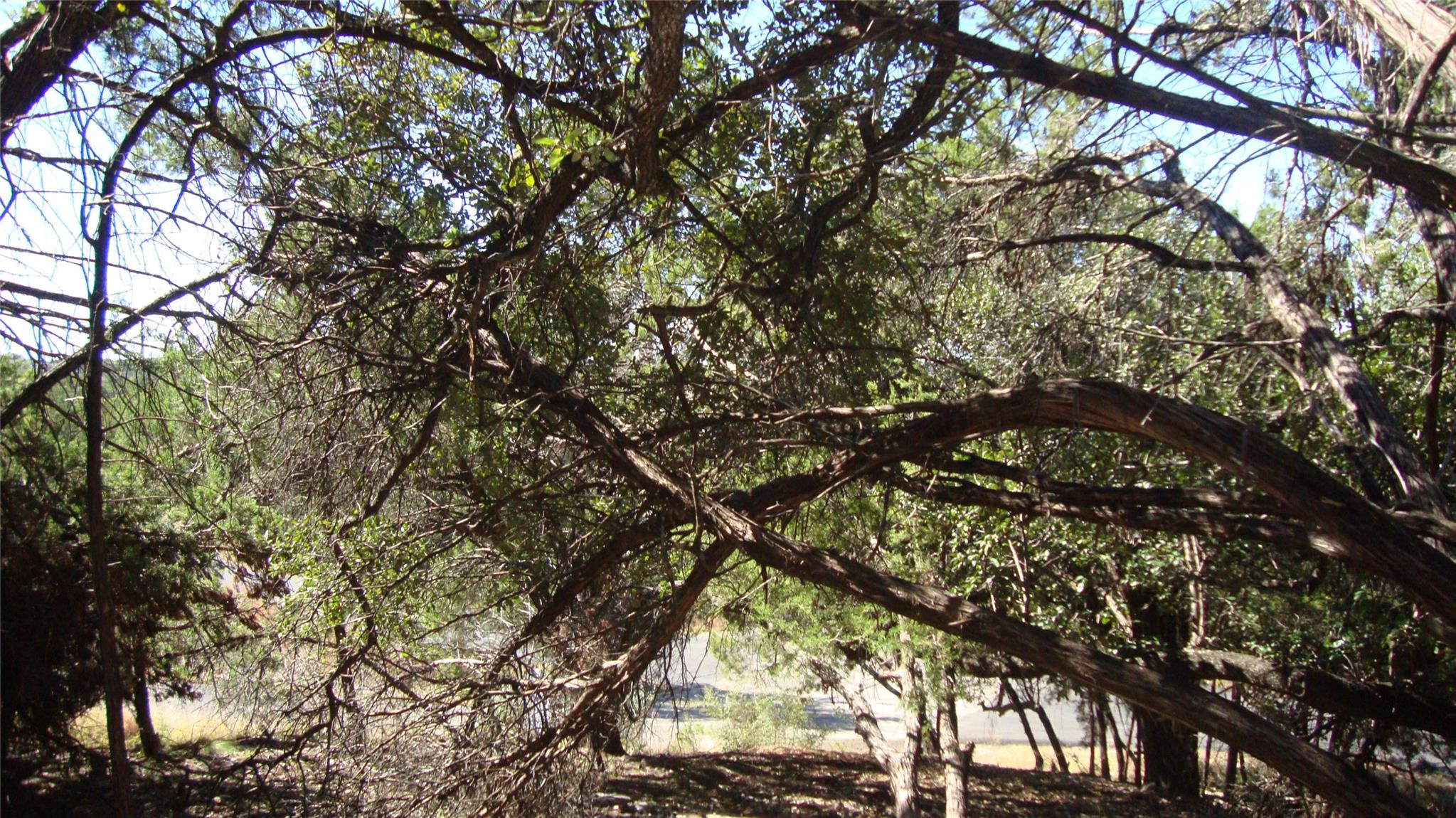 20804 Bonanza St, Lago Vista, TX 78645