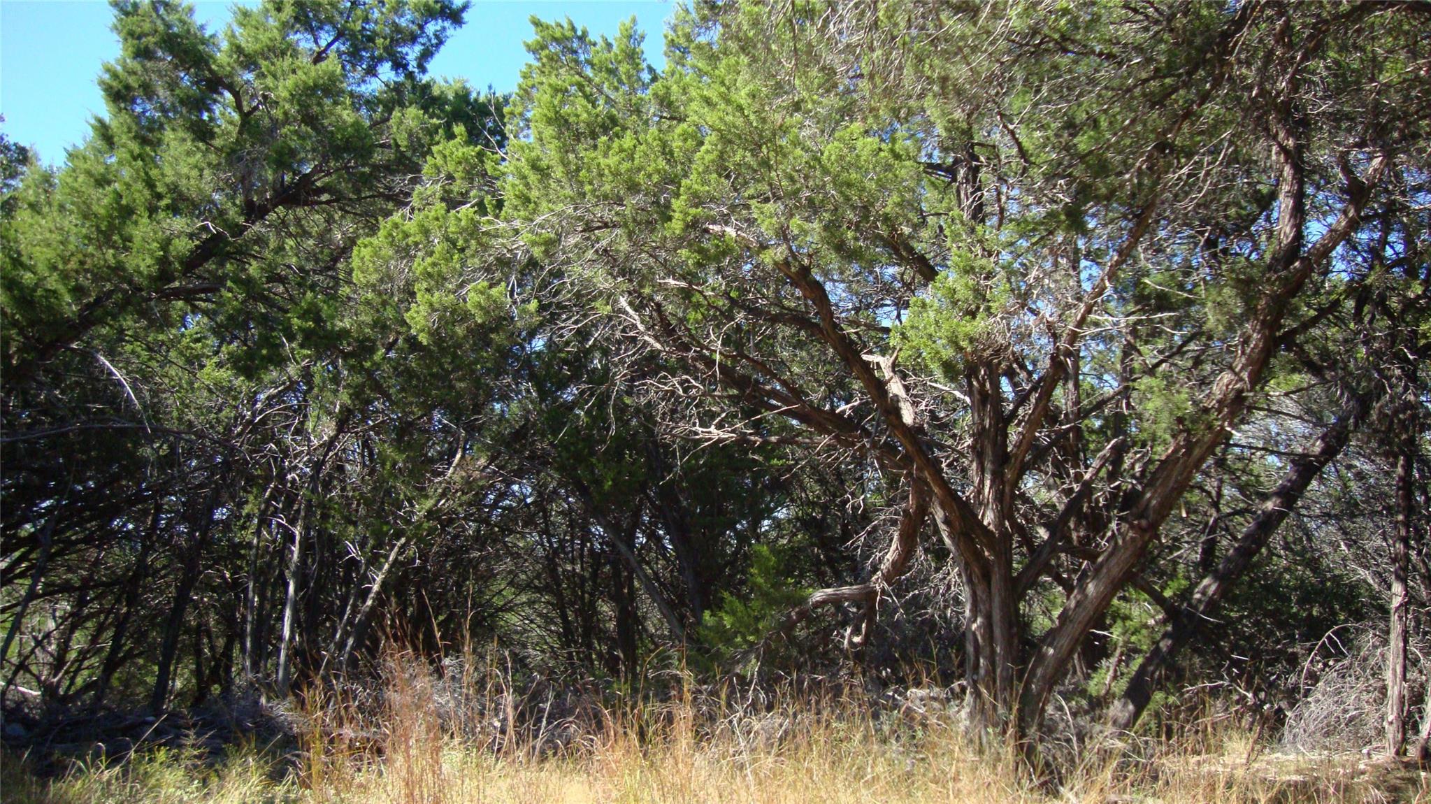 20804 Bonanza St, Lago Vista, TX 78645