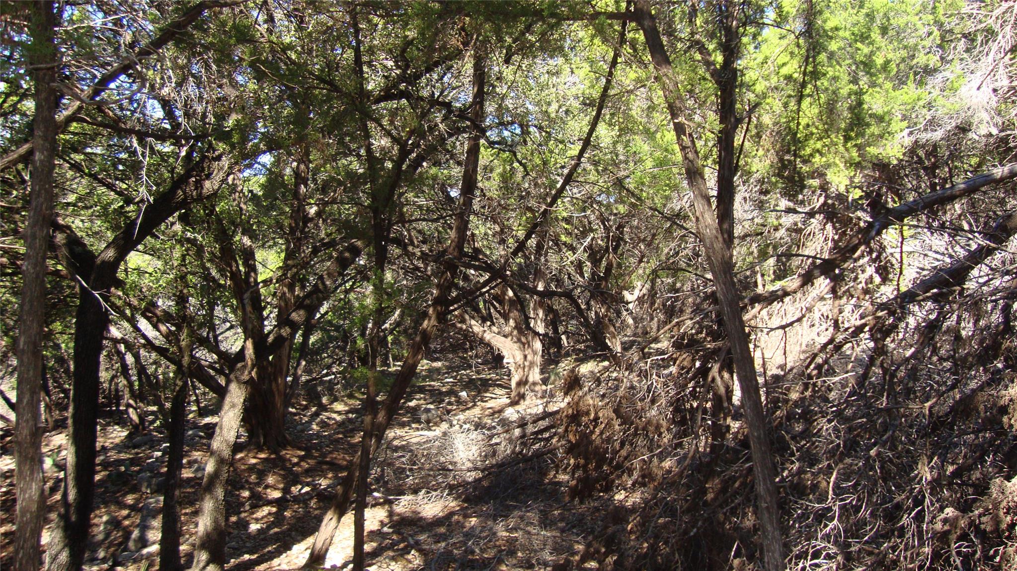 20804 Bonanza St, Lago Vista, TX 78645