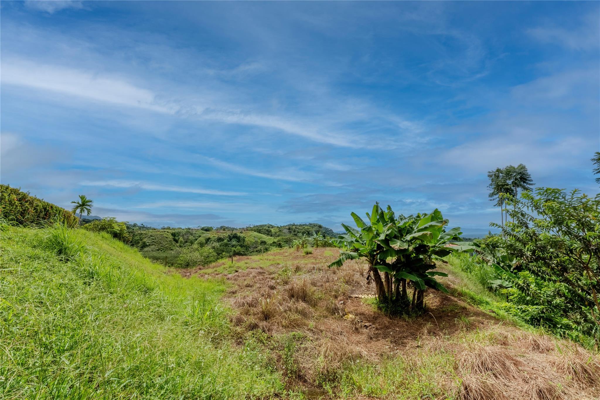 Casa Jean Window of the Soul, Out of State 60501