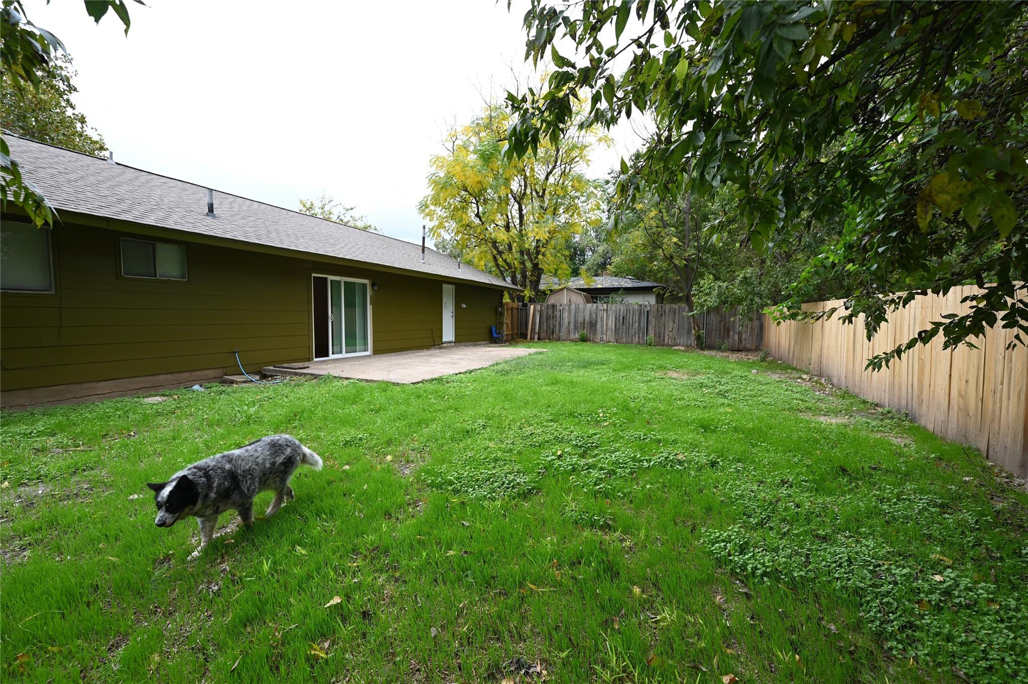 9715 Oak Hollow Dr, Austin, TX 78758