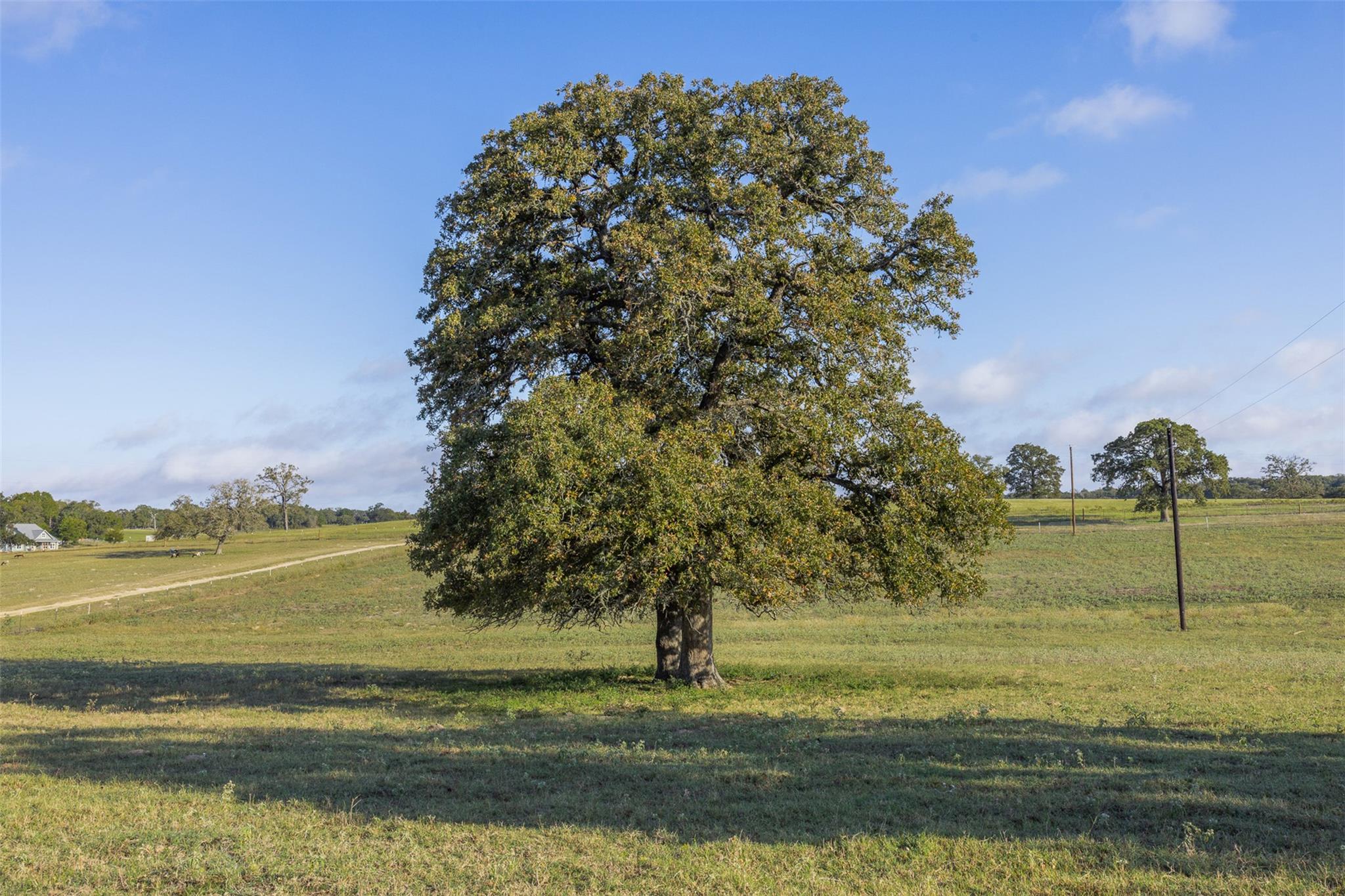 510 County Road 282, Cameron, TX 76520