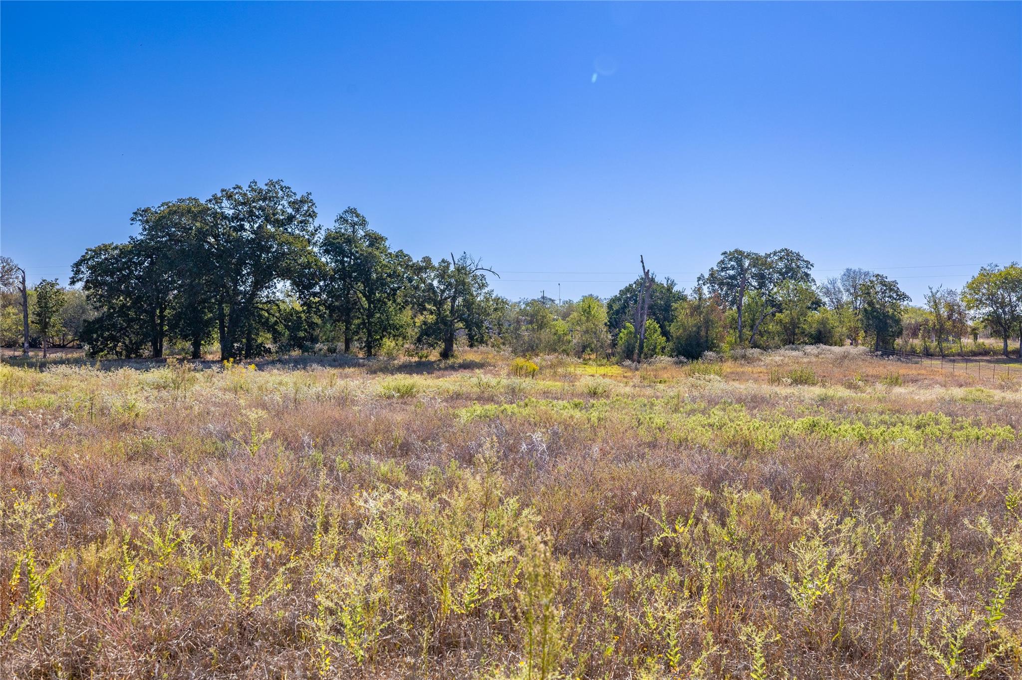 300 Casen St, Dale, TX 78616