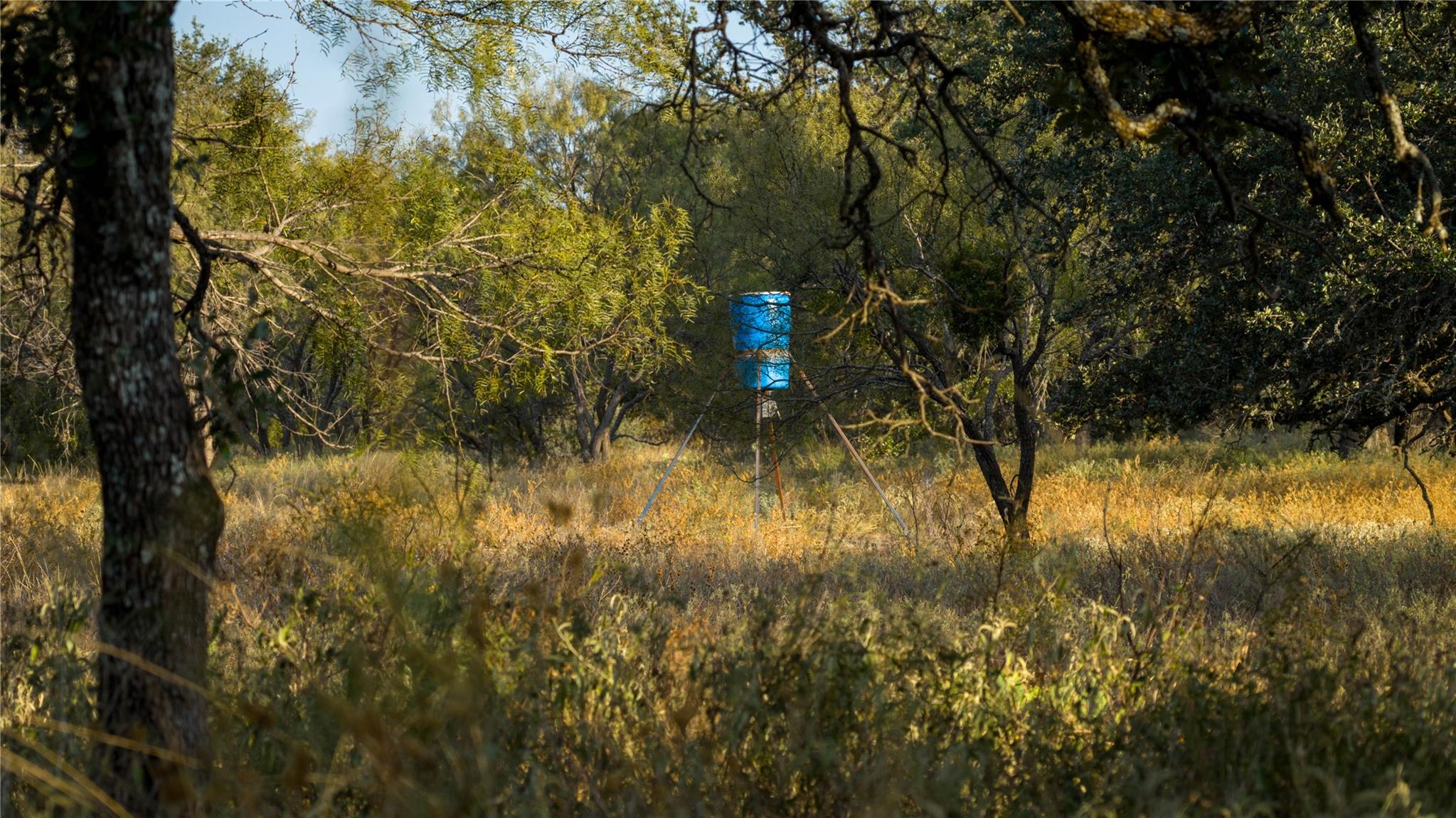 8500 Buck Ridge Dr, Brady, TX 76858