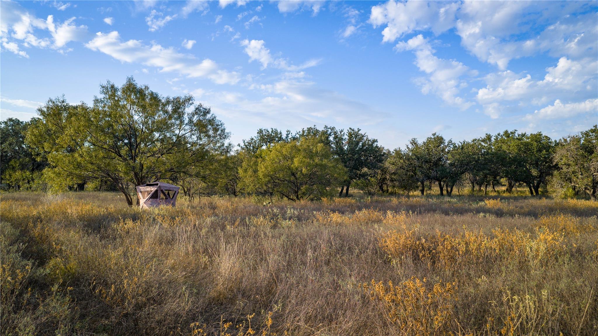 8500 Buck Ridge Dr, Brady, TX 76858