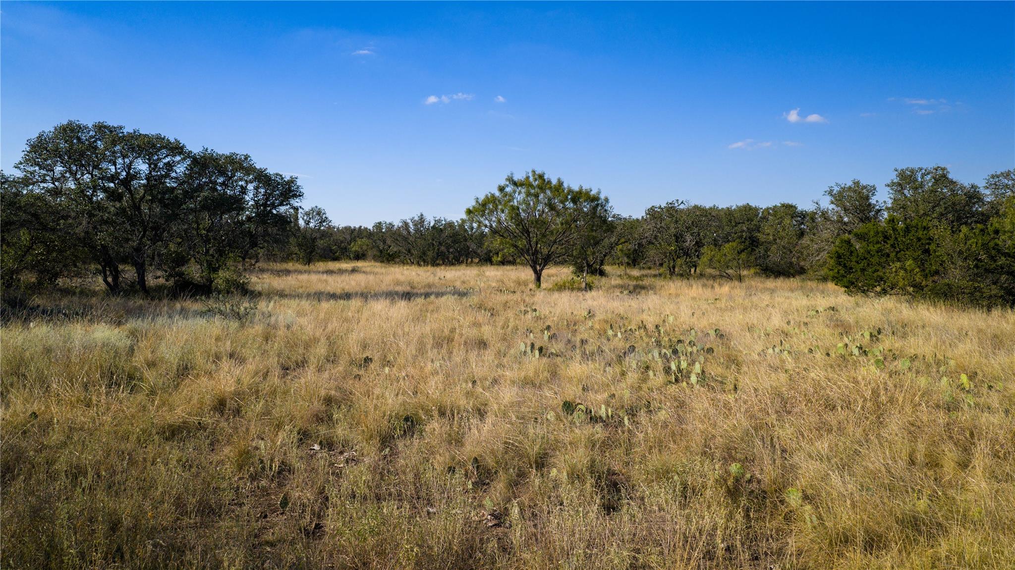 8500 Buck Ridge Dr, Brady, TX 76858