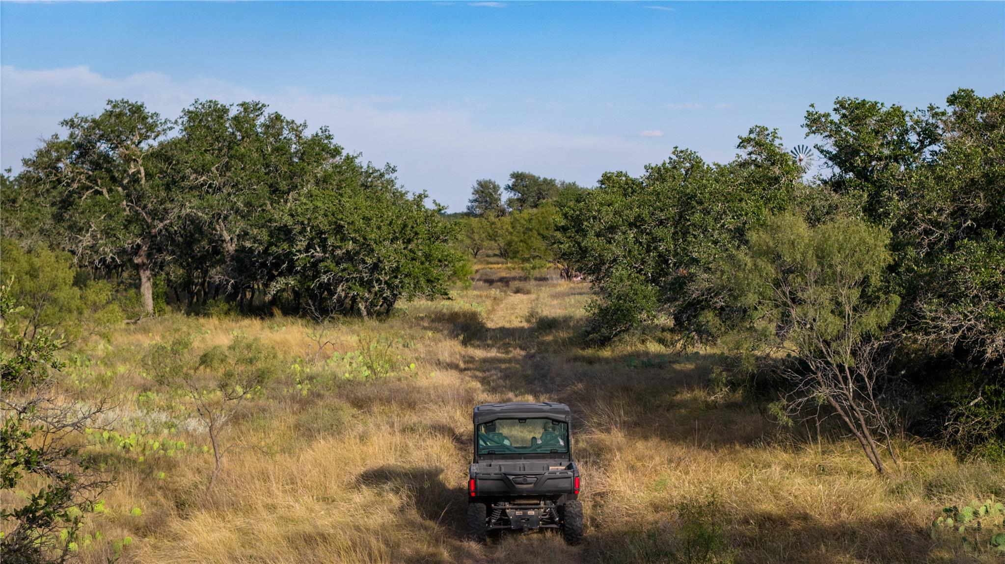 8500 Buck Ridge Dr, Brady, TX 76858