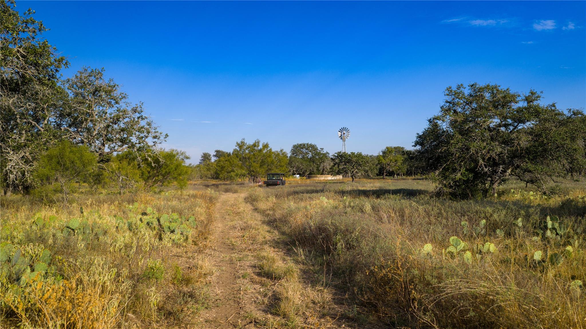 8500 Buck Ridge Dr, Brady, TX 76858
