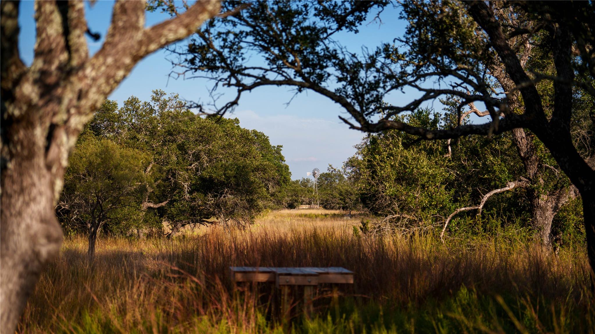 8500 Buck Ridge Dr, Brady, TX 76858