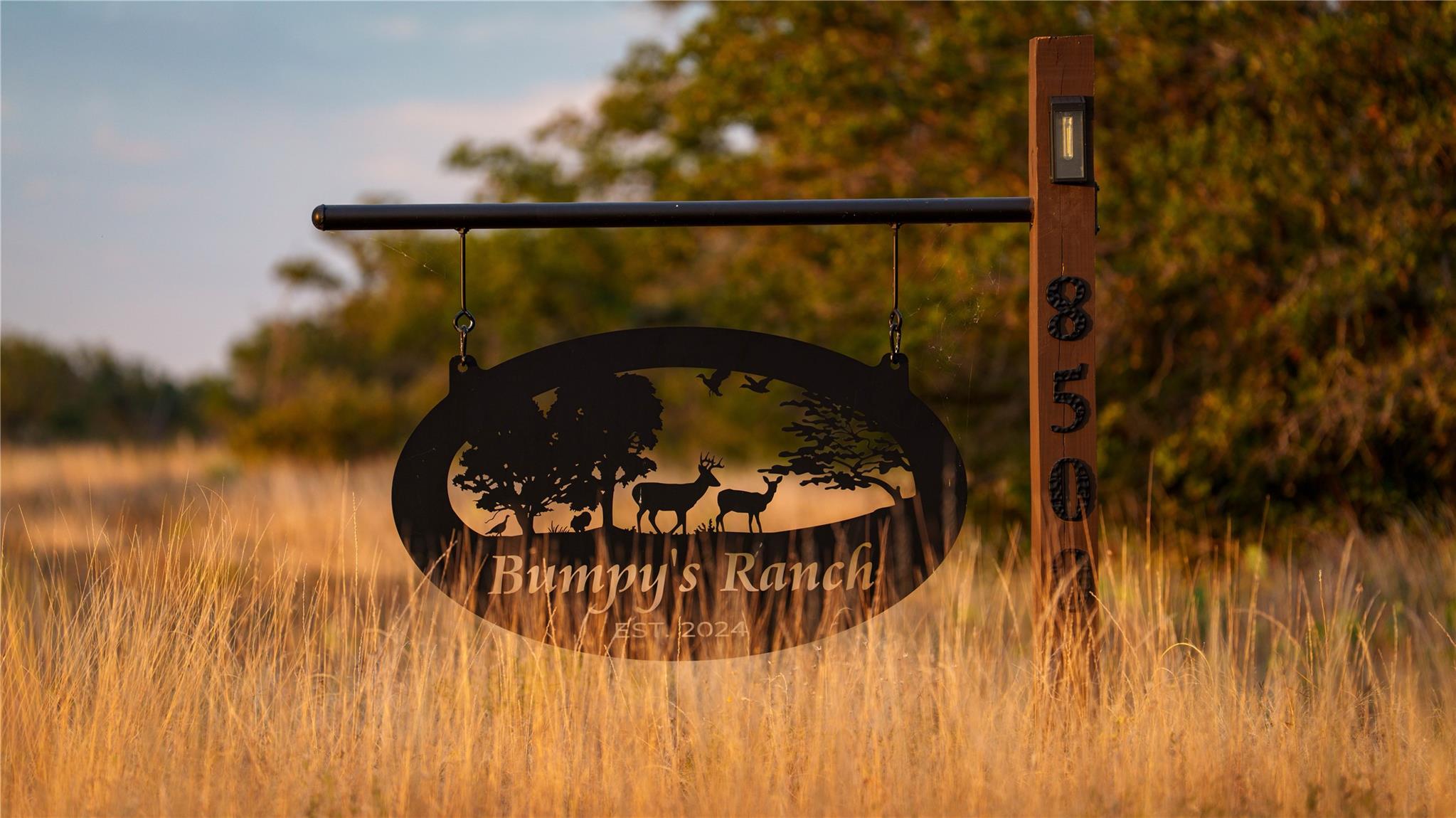 8500 Buck Ridge Dr, Brady, TX 76858