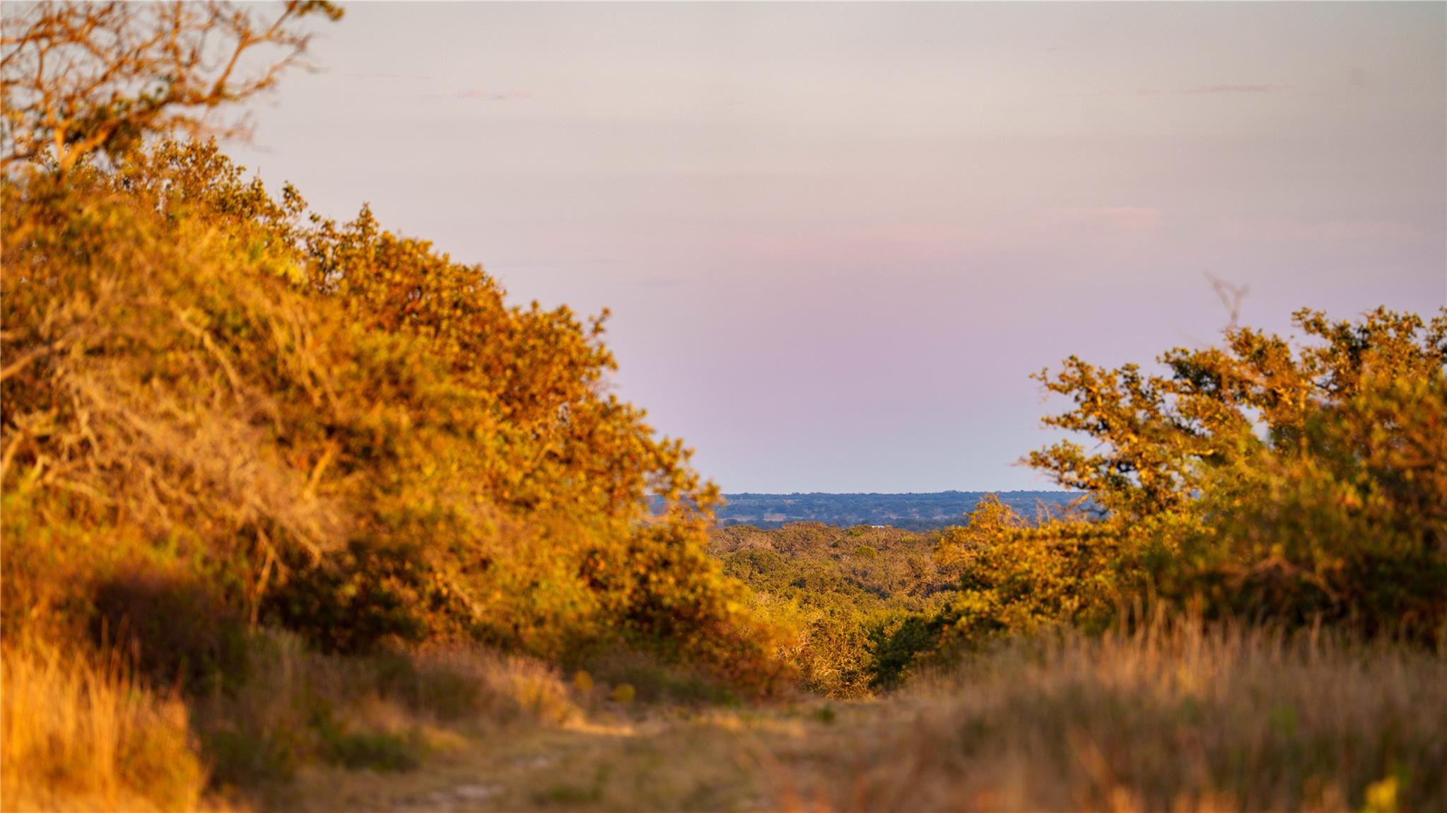 8500 Buck Ridge Dr, Brady, TX 76858