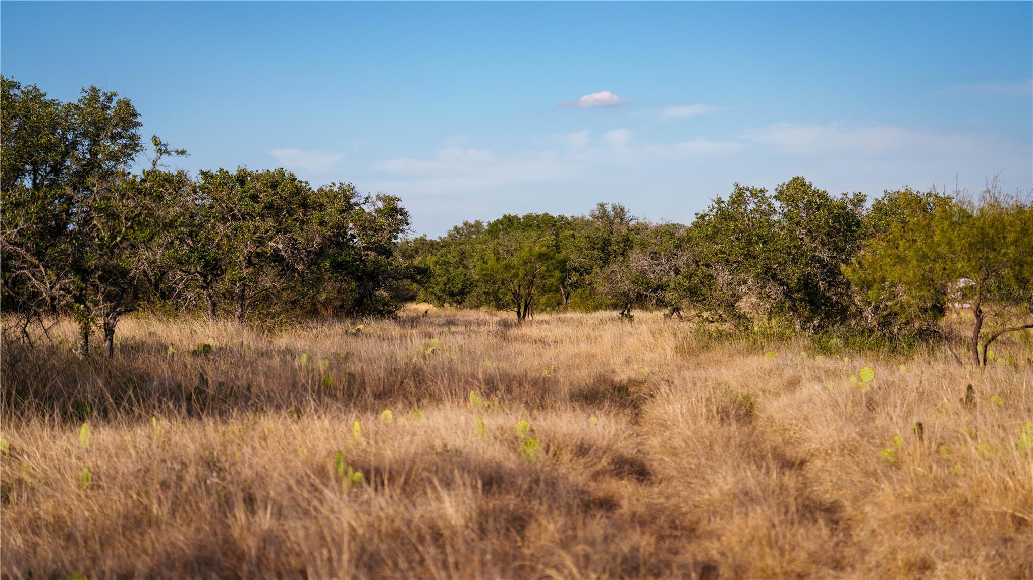 8500 Buck Ridge Dr, Brady, TX 76858