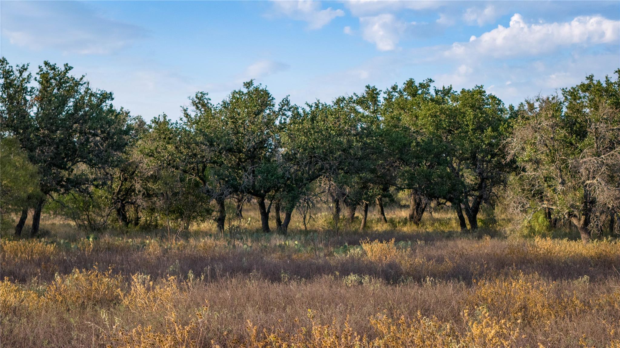 8500 Buck Ridge Dr, Brady, TX 76858