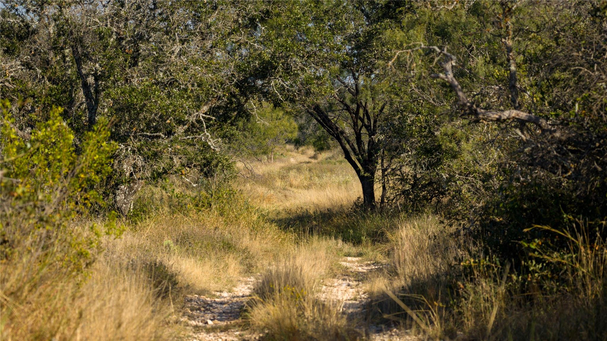 8500 Buck Ridge Dr, Brady, TX 76858