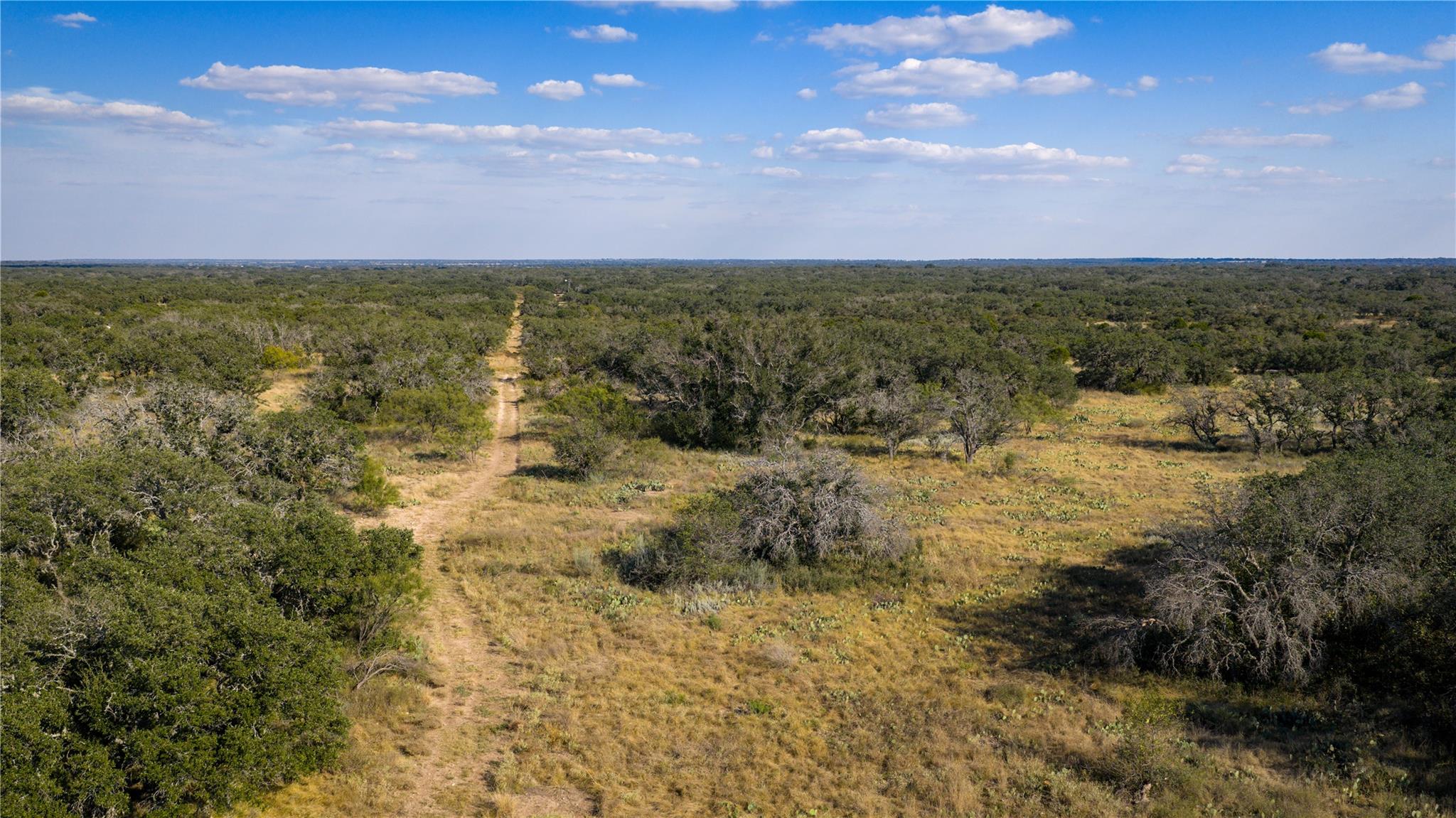 8500 Buck Ridge Dr, Brady, TX 76858