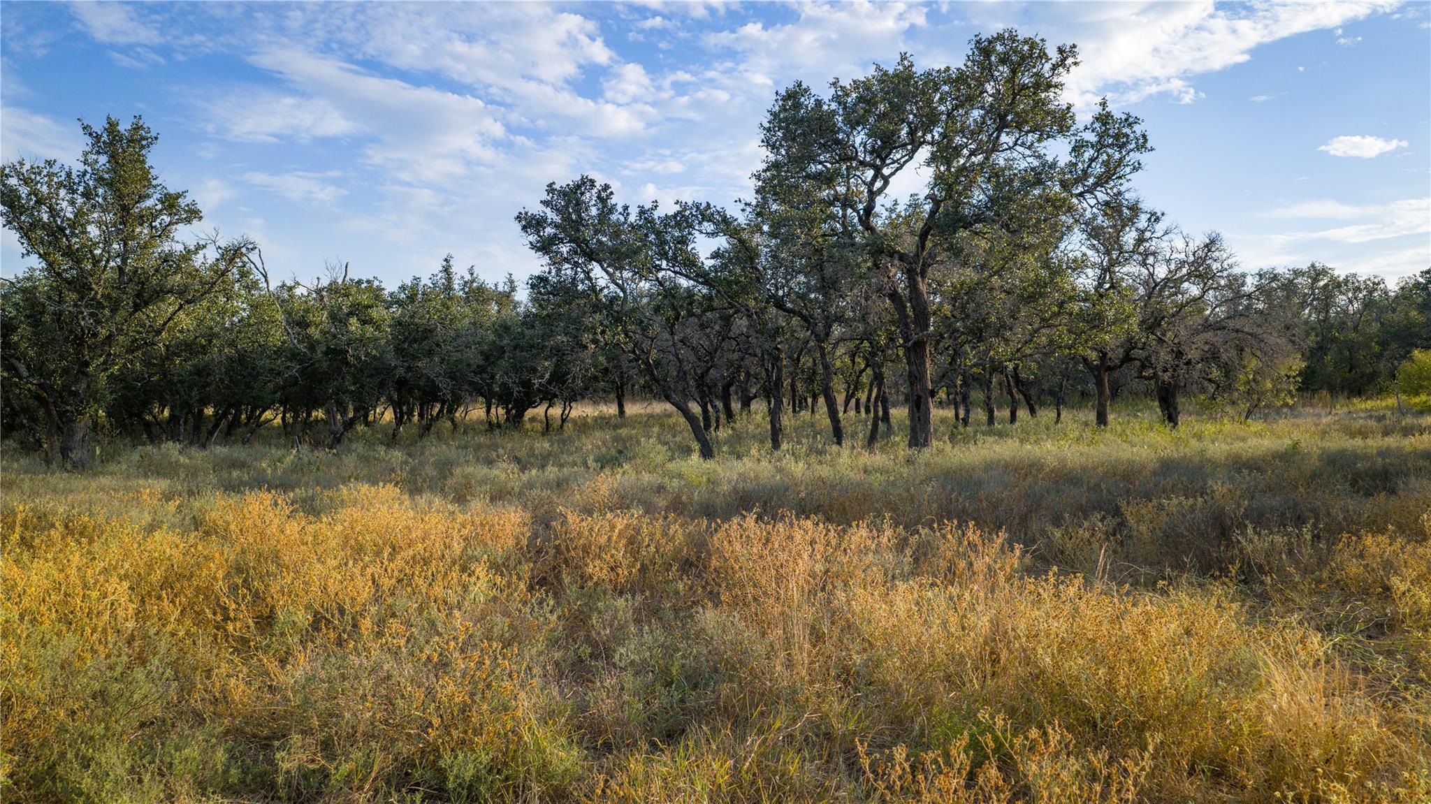 8500 Buck Ridge Dr, Brady, TX 76858