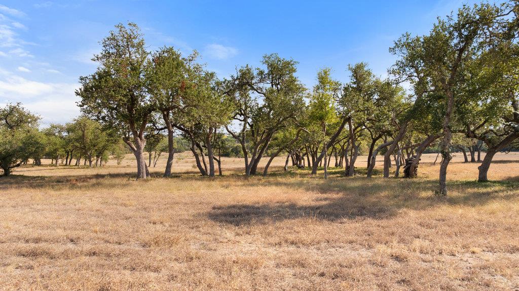 18601 Madrone Vista Dr, Austin, TX 78738