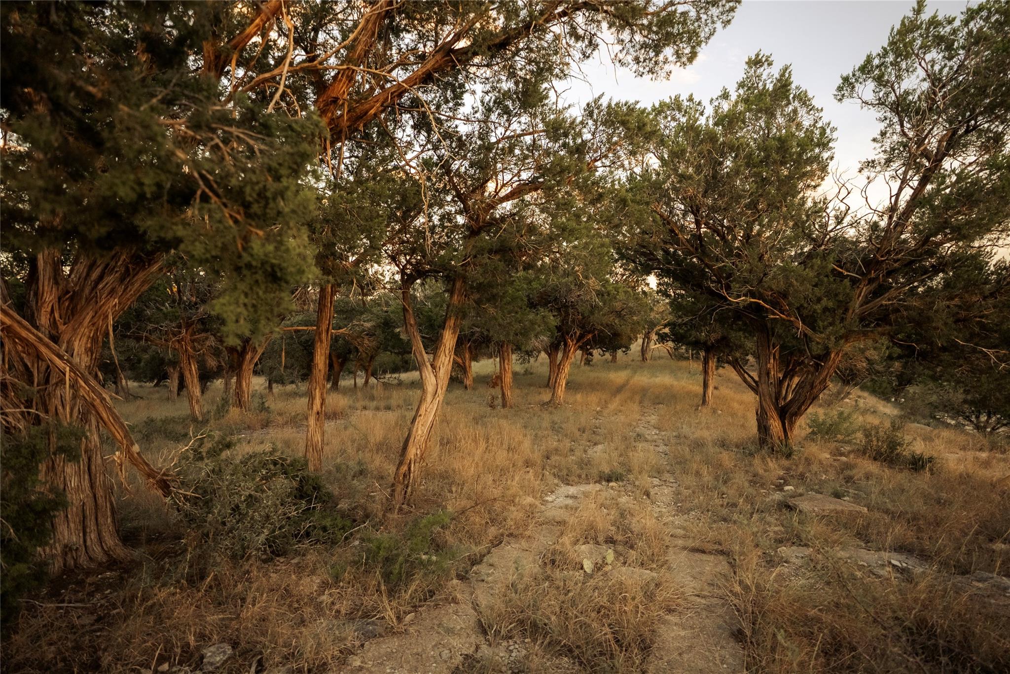 4600 Leon Creek Rd, Mason, TX 76856