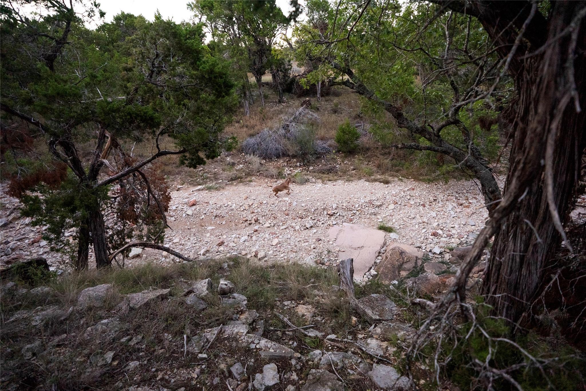 4600 Leon Creek Rd, Mason, TX 76856