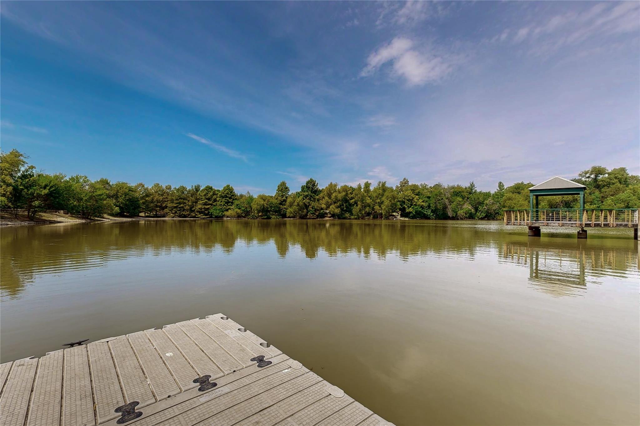 15114 Wells Port Dr, Austin, TX 78728